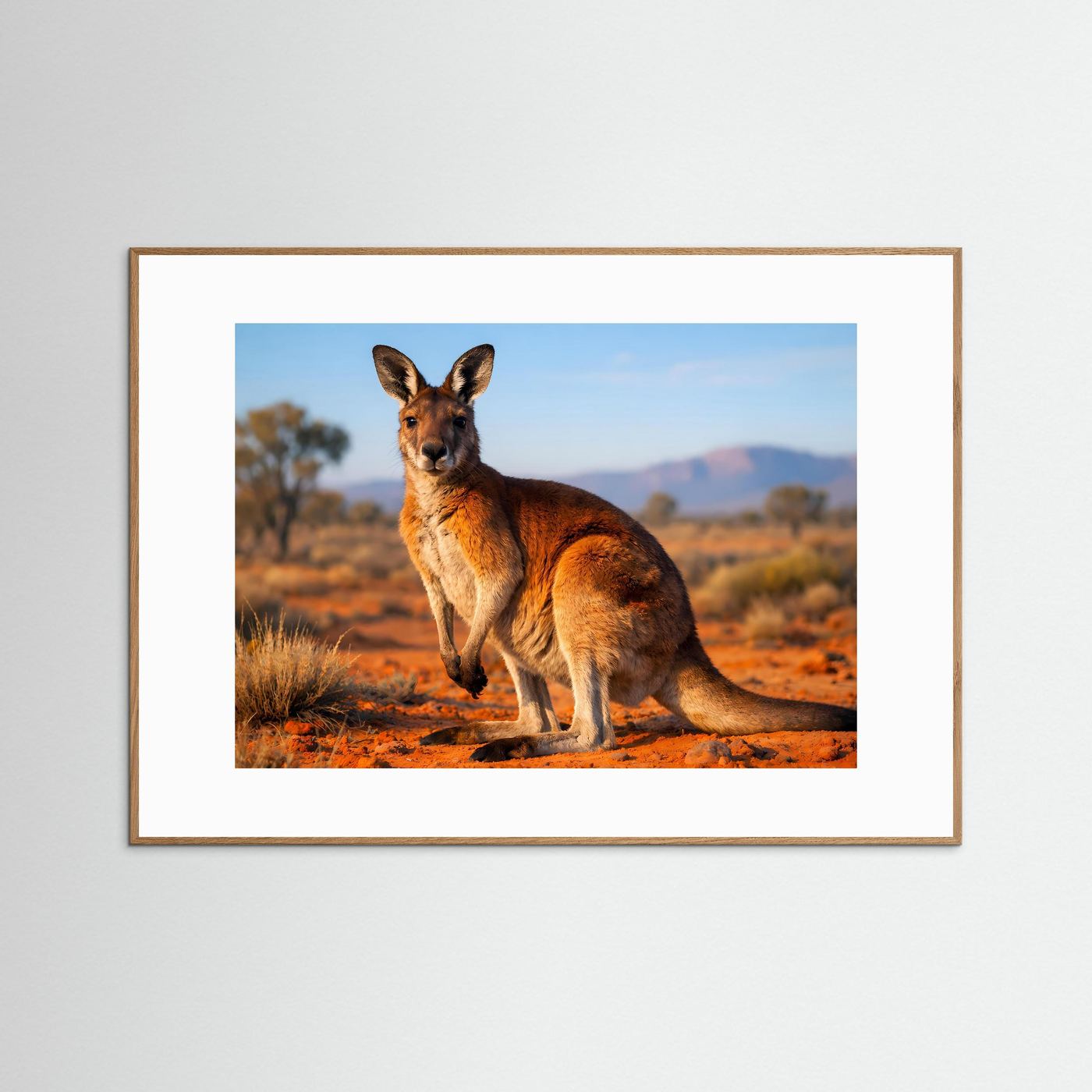 Wildtierposter mit Känguru im Sitzen, horizontal, dunkler Holzrahmen