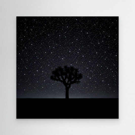 Leinwandbild Sternenhimmel mit Baum-Silhouette und Wüstenlinie, schwarzer Rahmen