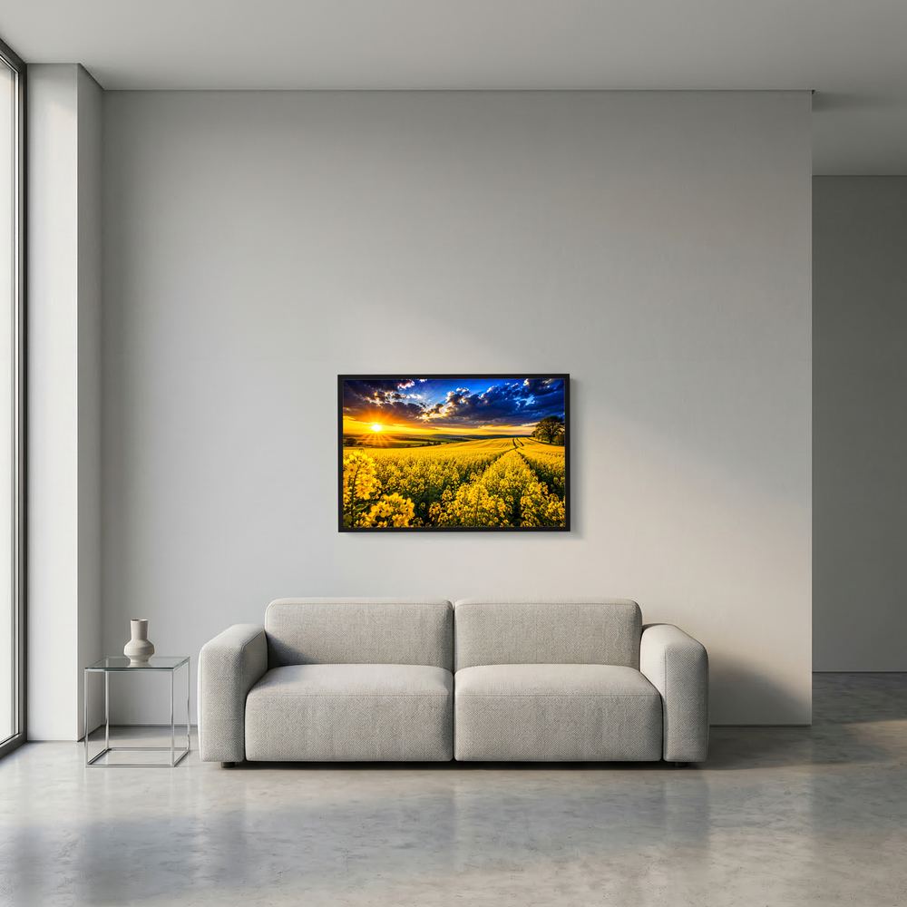 Kleines Poster mit Rapsfeld im Sonnenuntergang, gelbe Blüten, schwarzer Rahmen