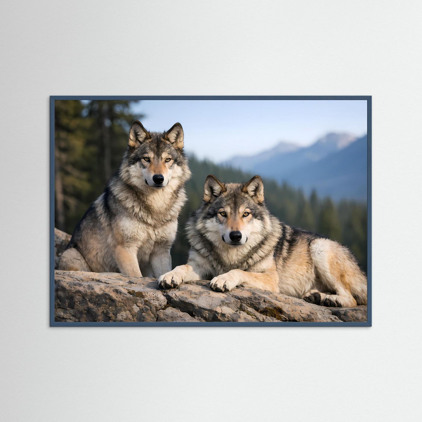 Wolfspaar-Poster mit grauem Rahmen: zwei Wölfe auf Felsen in Berglandschaft