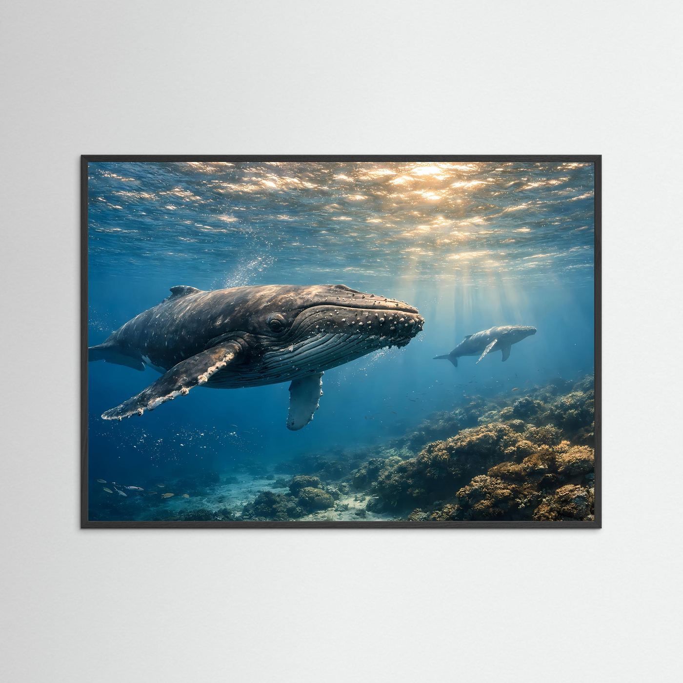 Majestätische Buckelwale im tiefen Ozean | Panorama Unterwasserwelt & Meer Poster Querformat