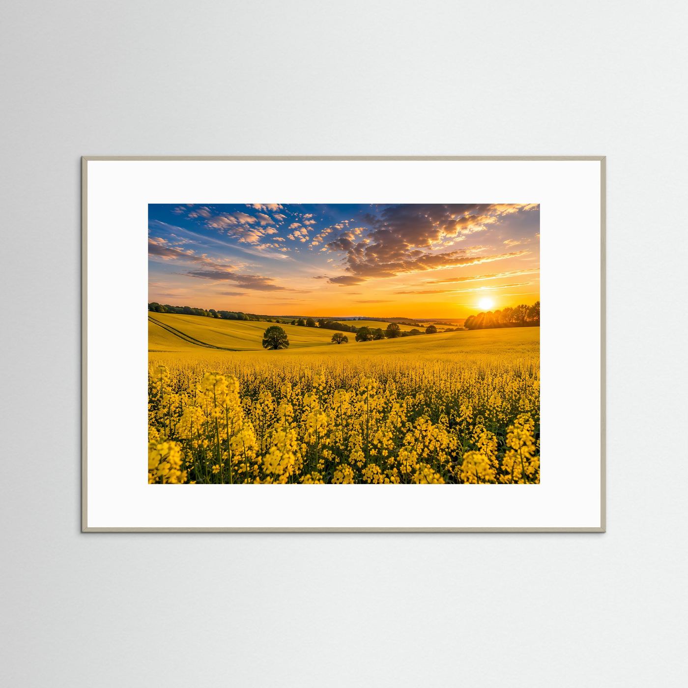 Rapsfeld Poster Querformat | Gelbe Blütenlandschaft bei Sonnenuntergang