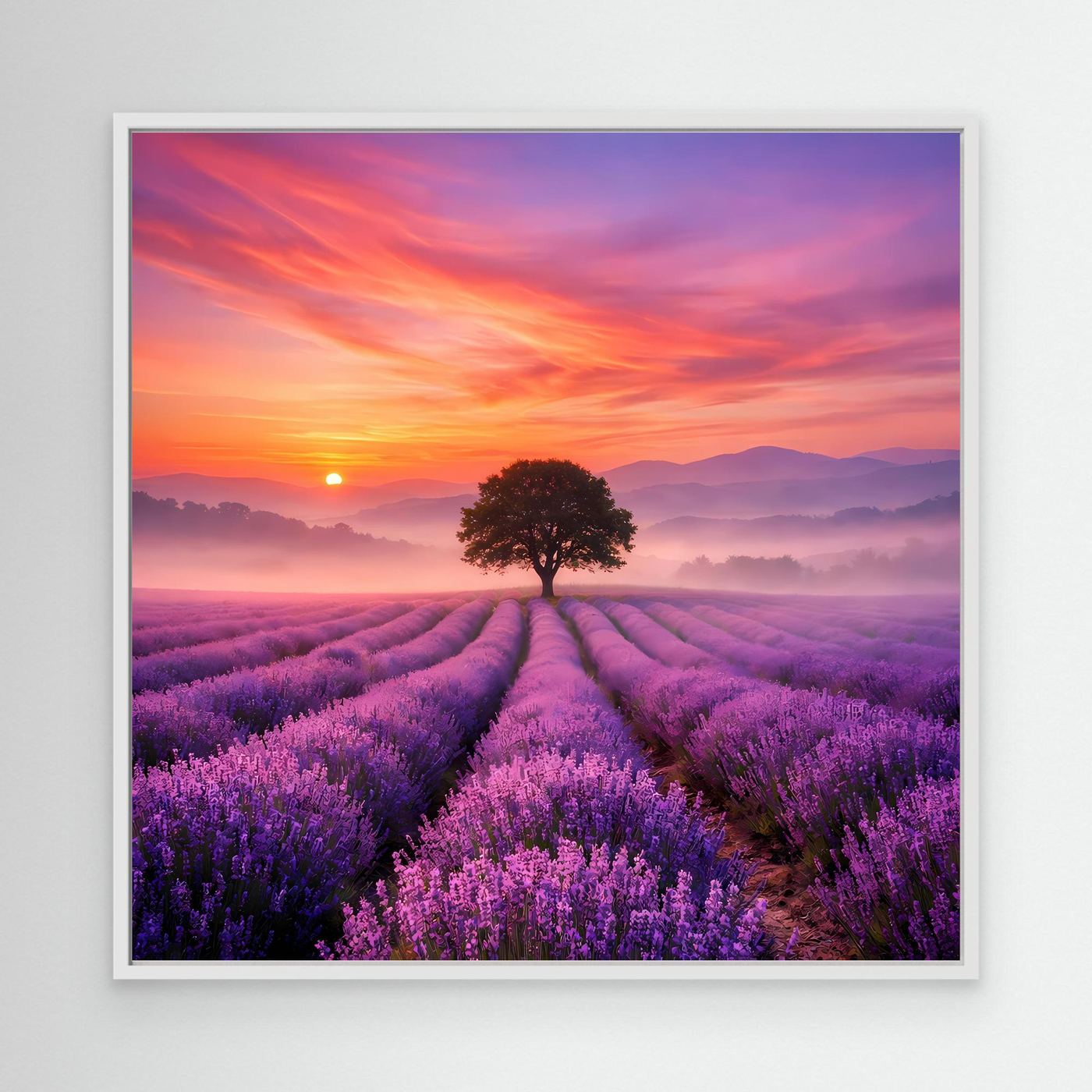 Leinwandbild Lavendelfeld mit Sonnenaufgang und Baum, weißer Rahmen
