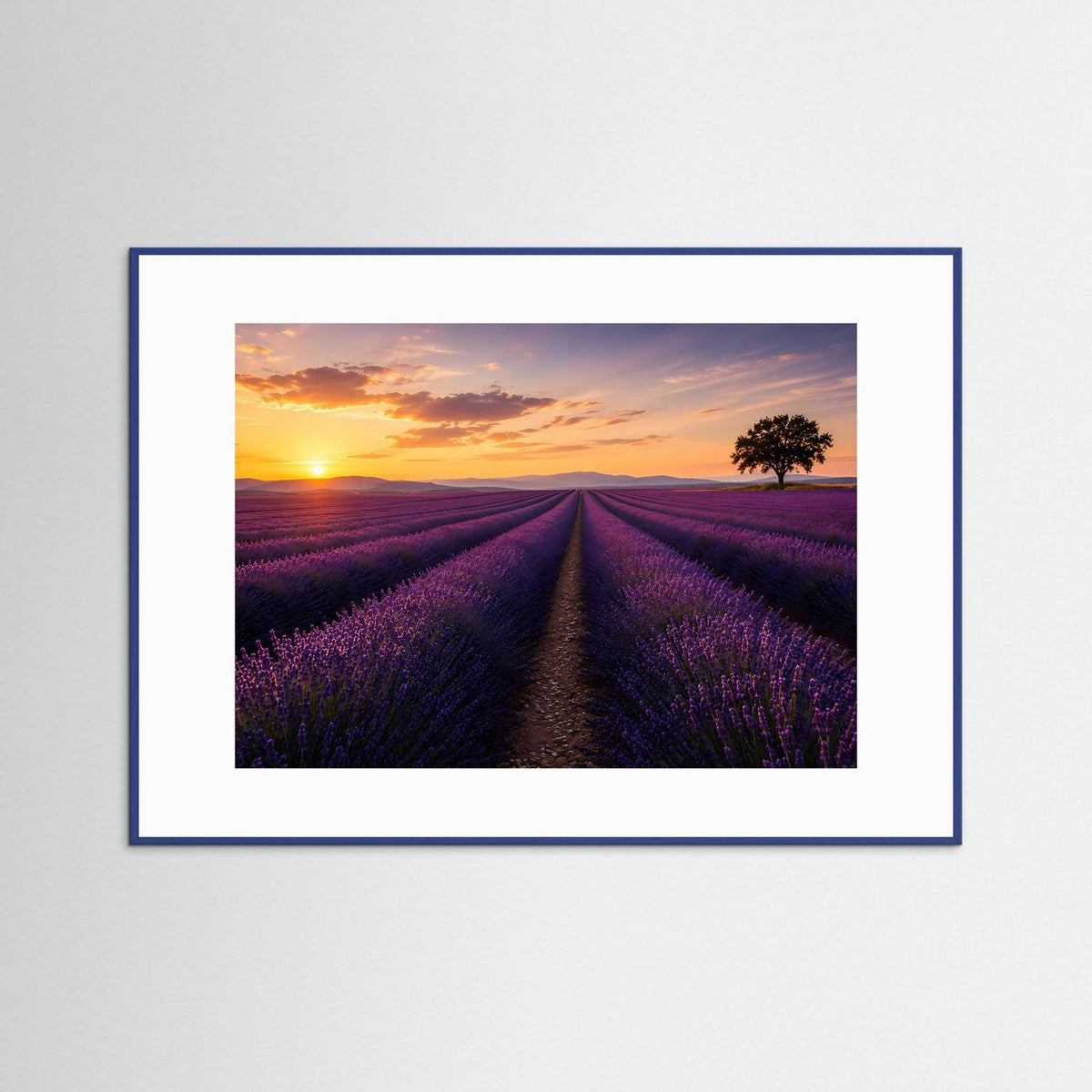 Poster im Querformat mit Lavendelfeld bei Sonnenuntergang, blau gerahmt