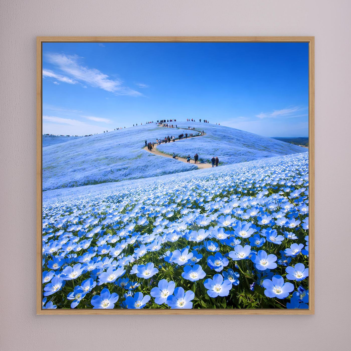 Leinwandbild mit blauem Blütenmeer aus Nemophila-Blumen, goldener Holzrahmen