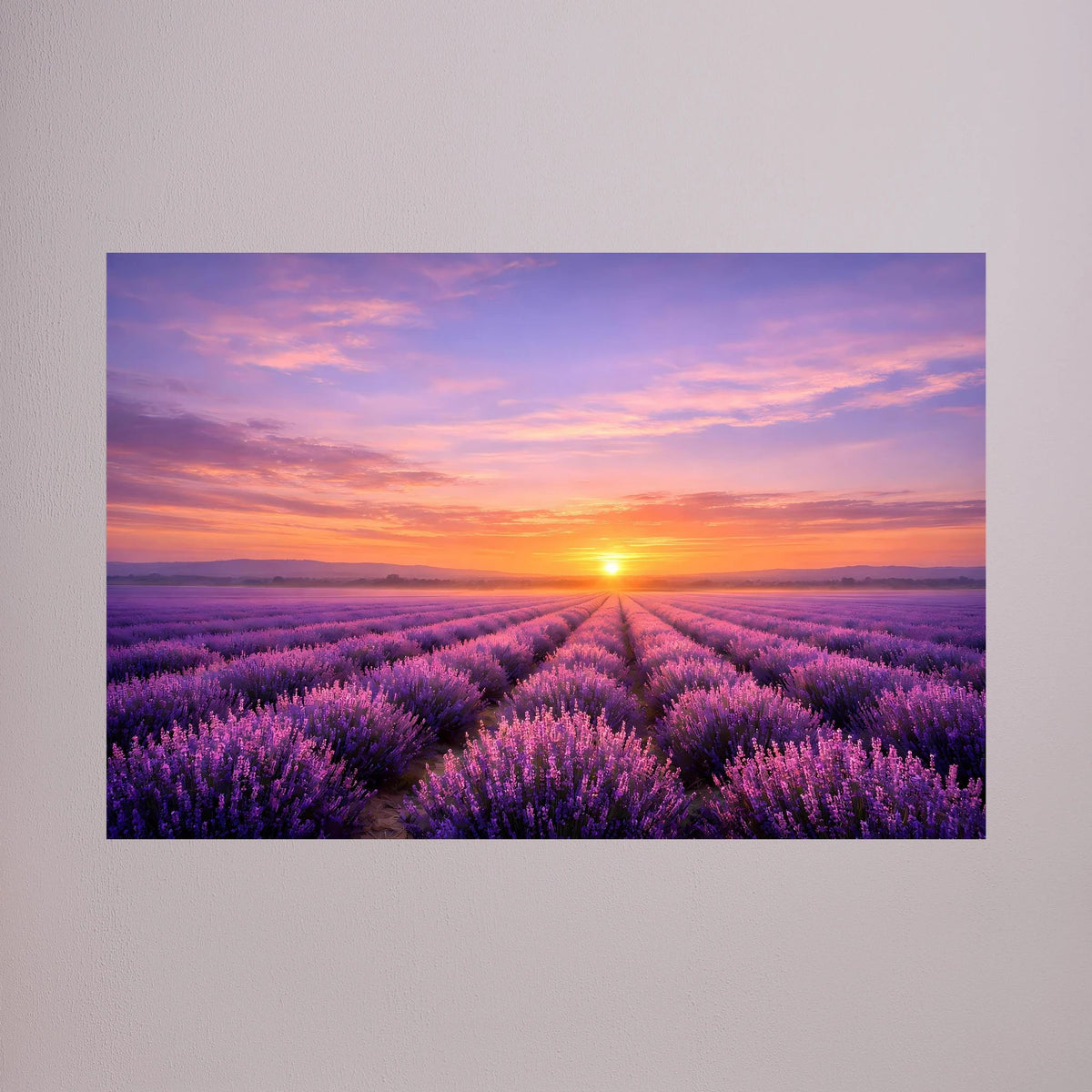 Querformat-Poster mit Lavendelfeld und Sonne im Sonnenuntergang