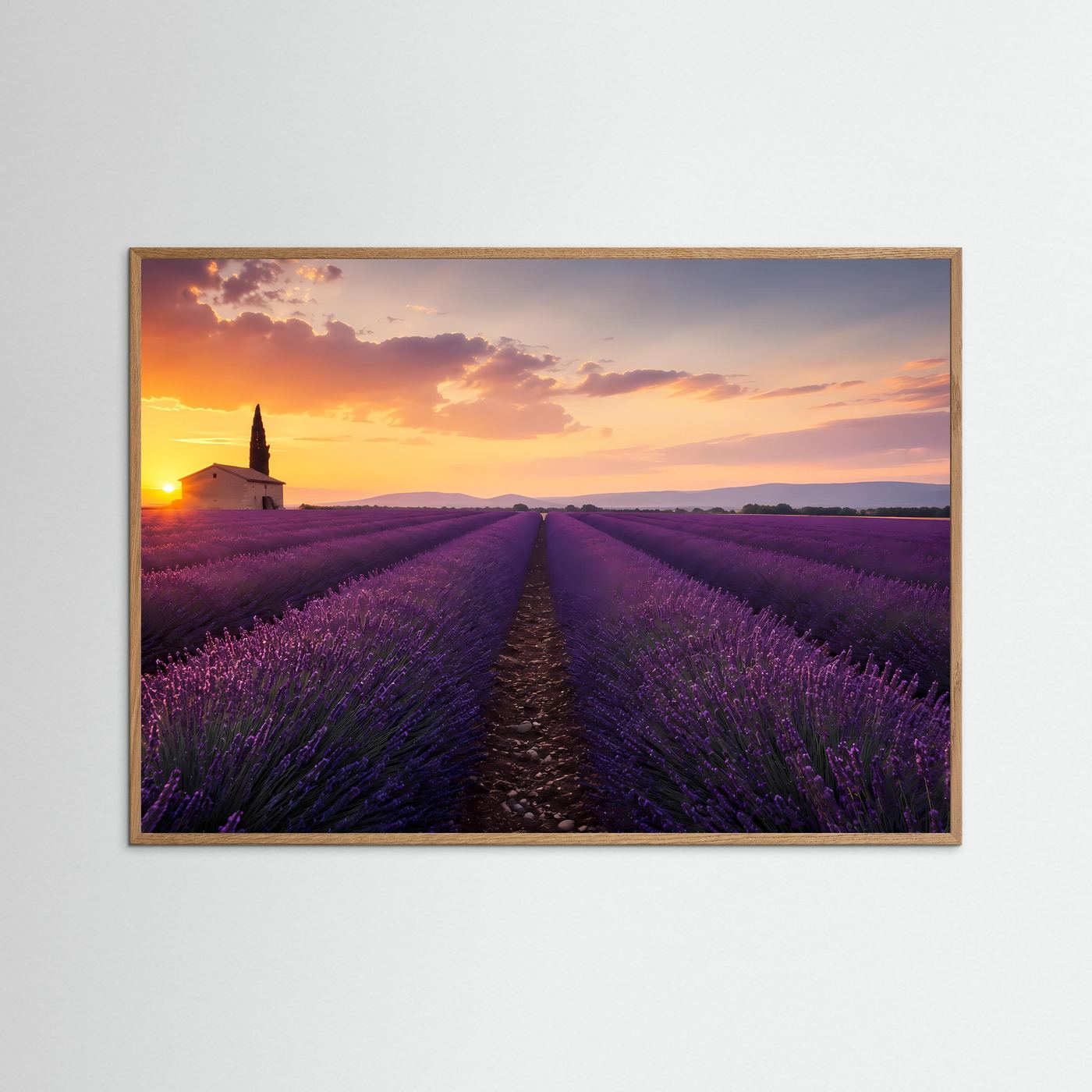 Lavendelfeld im Sonnenuntergang | Provence Landschaft in Lila & Gold