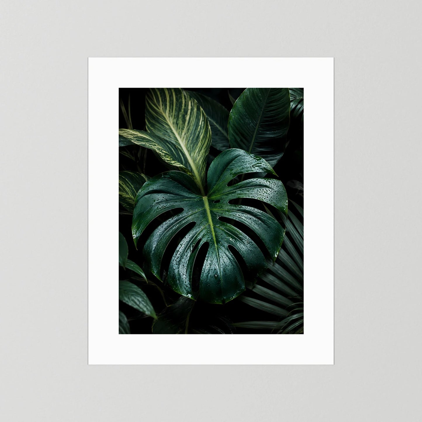 Poster mit Monstera-Tropenblättern, dunkelgrün, weißer Rand