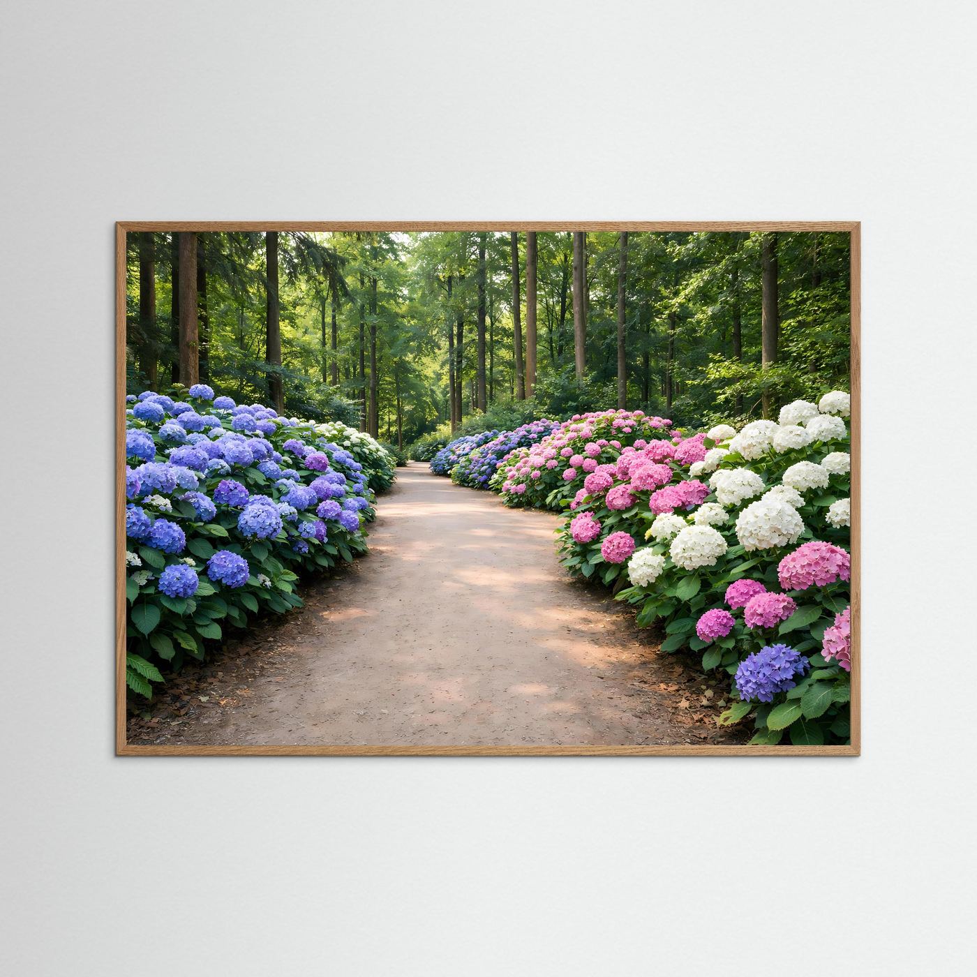 Blühende Hortensien-Allee im Park | Panorama Garten & Blumen Poster Querformat