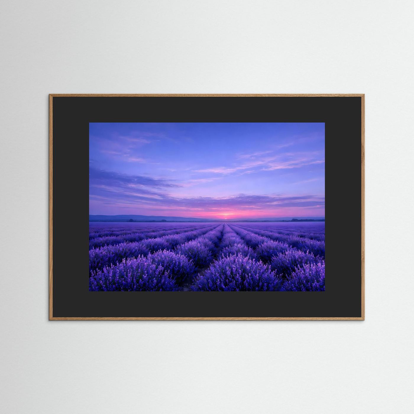Poster Lavendelfeld im Sonnenuntergang | Majestätisches Violettes Wandbild