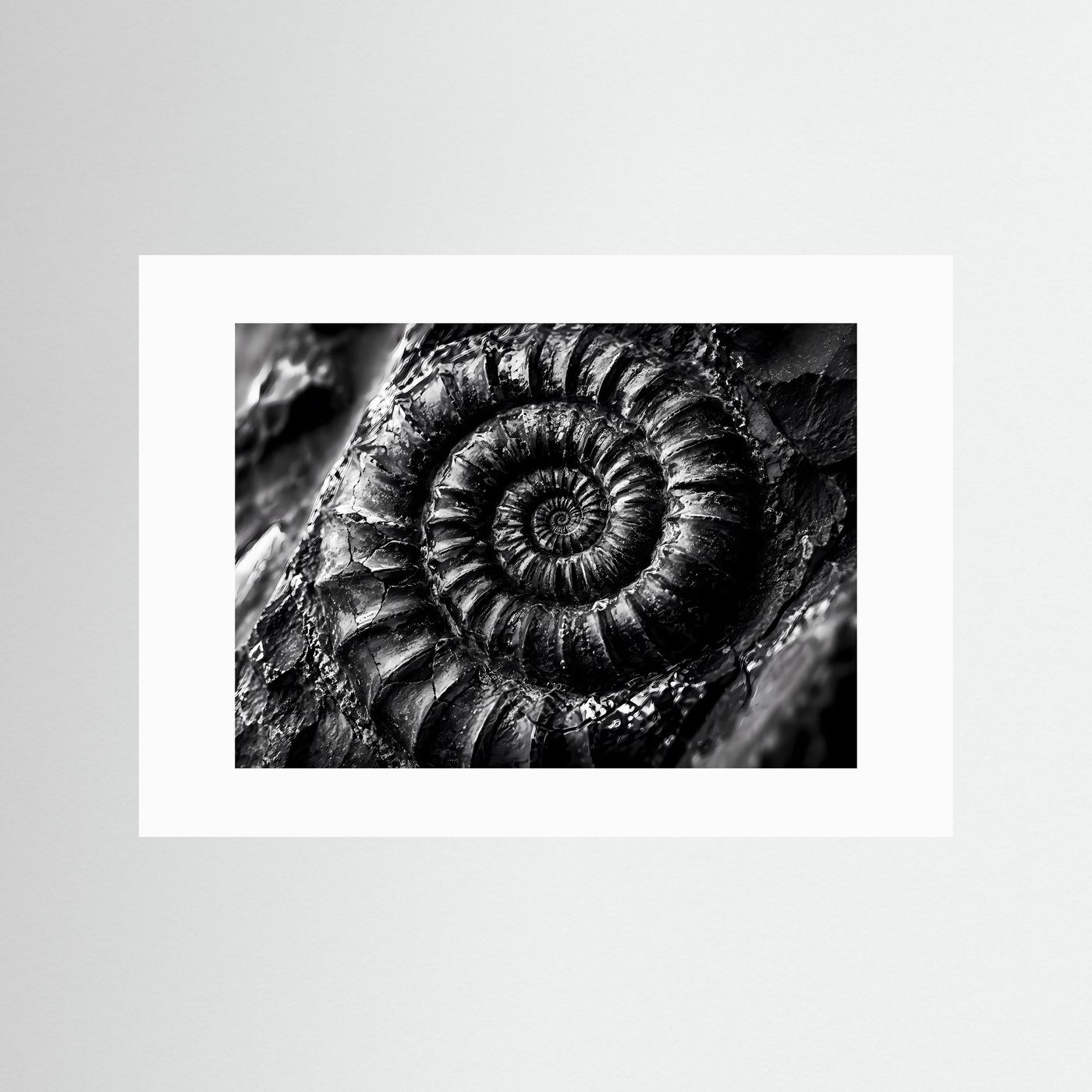 Ammonit Fossil Schwarz Weiß Poster | Makro Fossilien Wandkunst | Monochrome Naturkunst | Geologie Leinwand | Modernes Spiral Fossil Bild