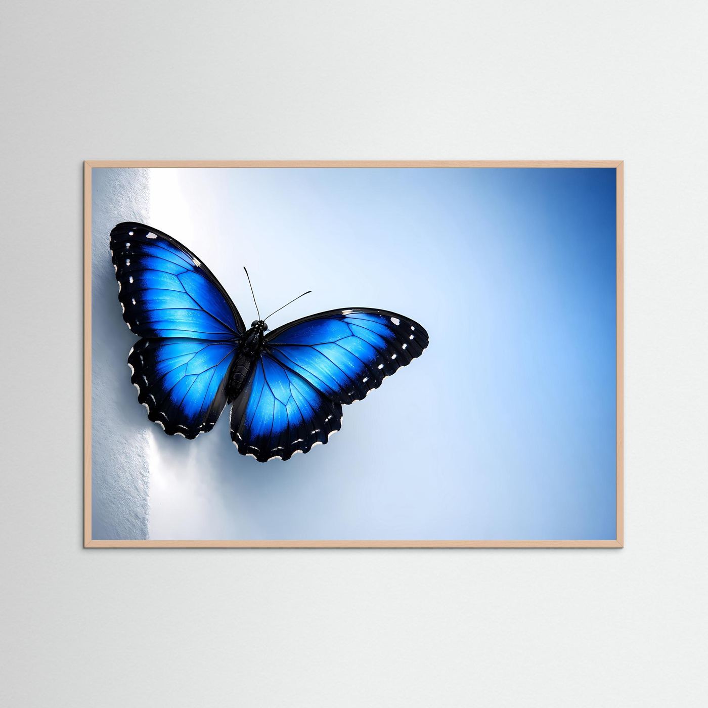 Querformatiges Schmetterlingsposter mit blauem Flügelmotiv im braunen Rahmen