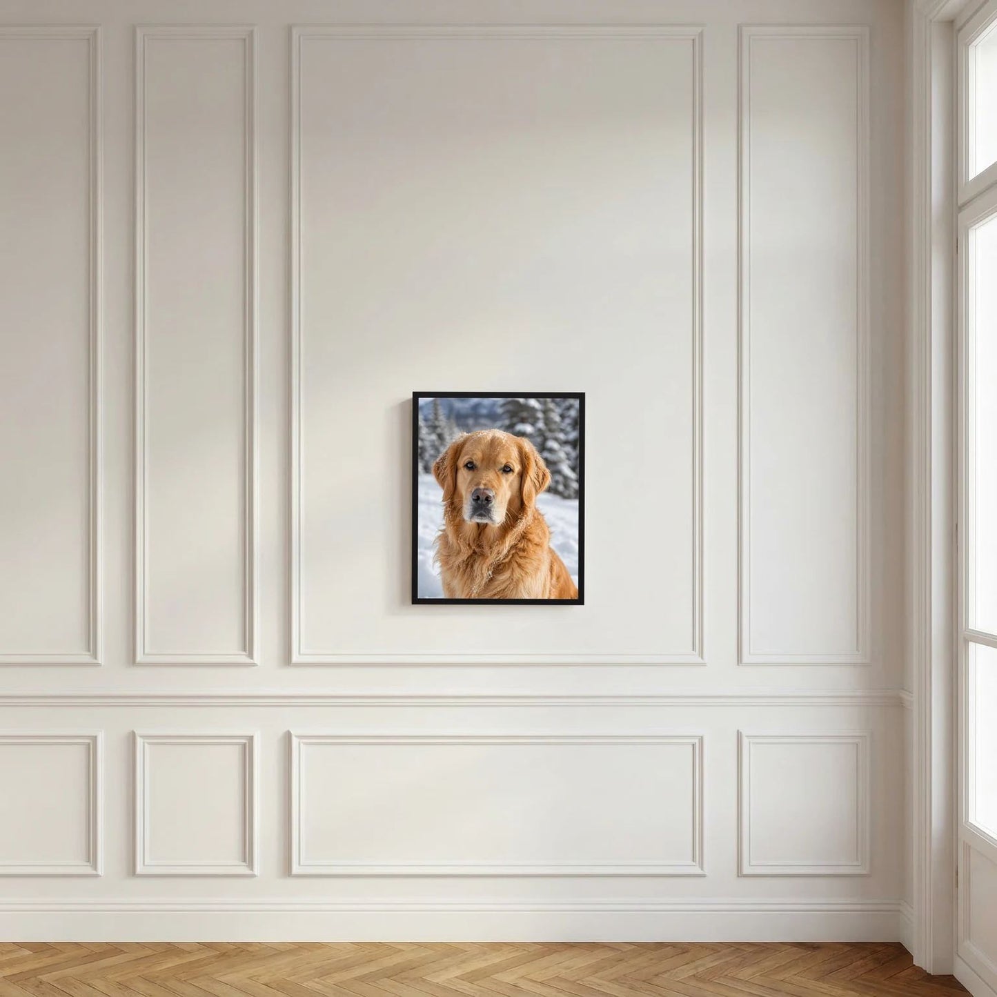 Wandbild mit goldenem Retriever im Schnee im schwarzen Rahmen
