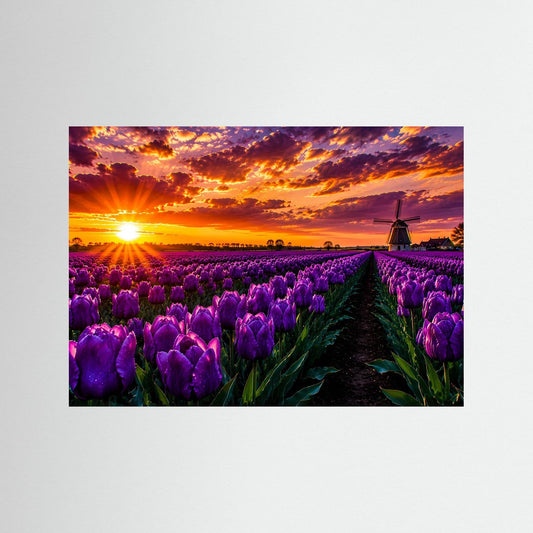 Poster mit violetten Tulpen und Windmühle bei Sonnenuntergang, Querformat