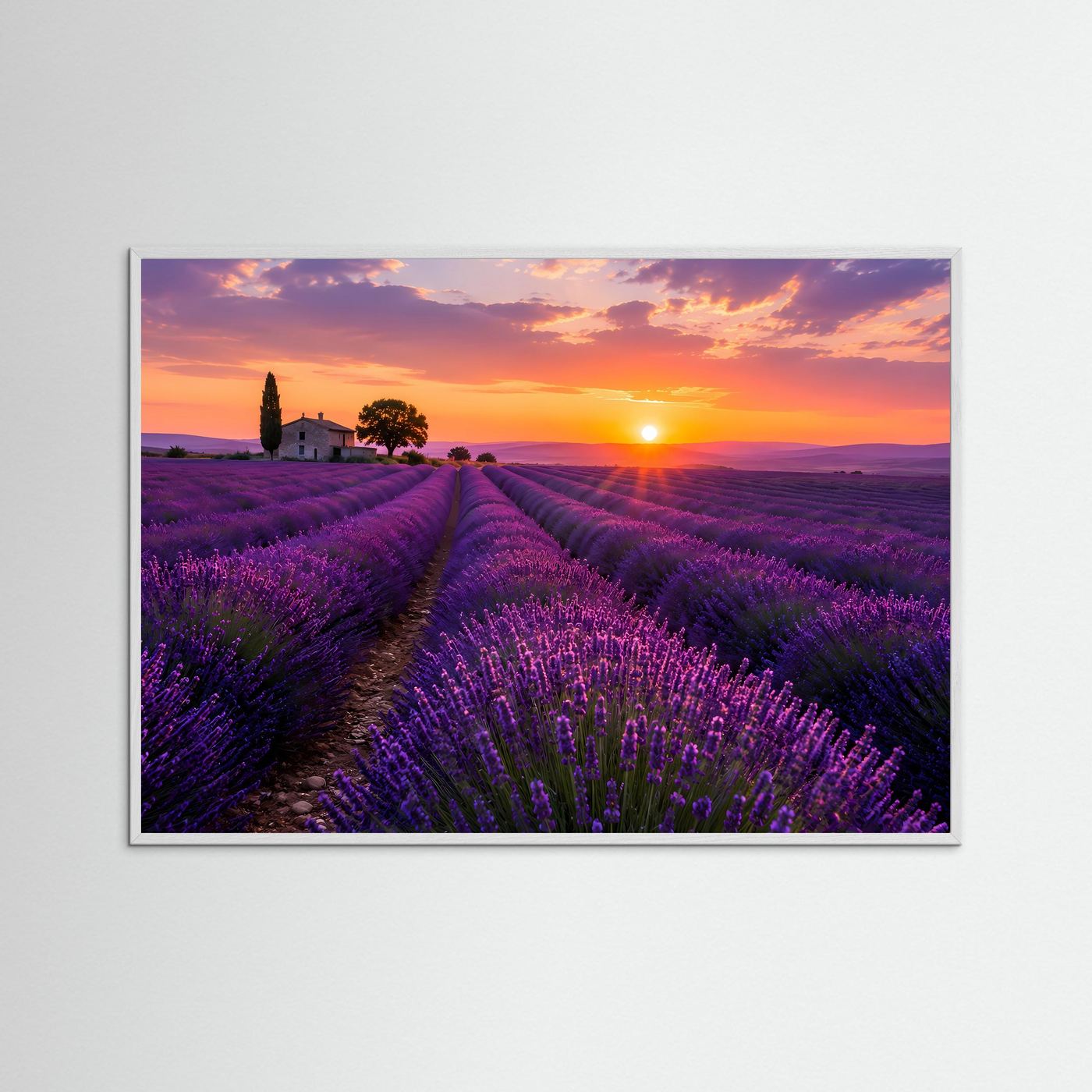 Lavendelfeld Poster Querformat | Provence Landschaft im Sonnenuntergang
