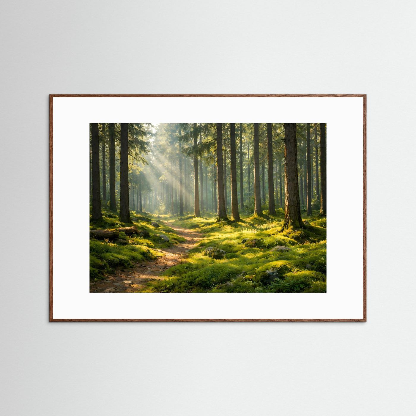 Sonnenstrahlen im grünen Wald | Mystischer Waldweg im Morgenlicht