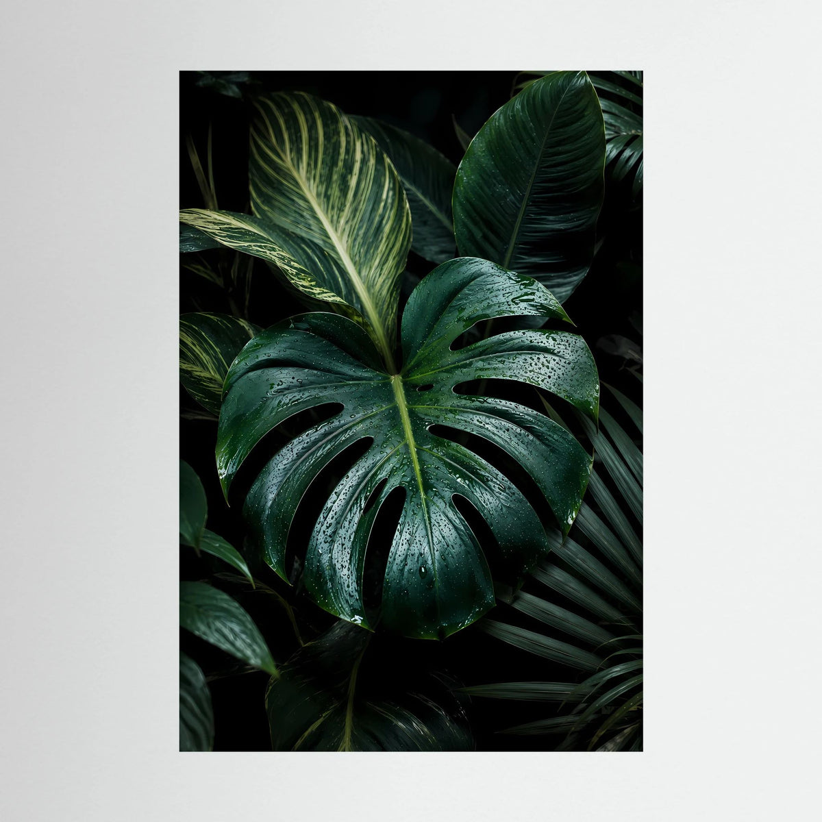 Poster mit Monstera-Blättern in Dunkelgrün, Regentropfen, Nahaufnahme, Hochformat