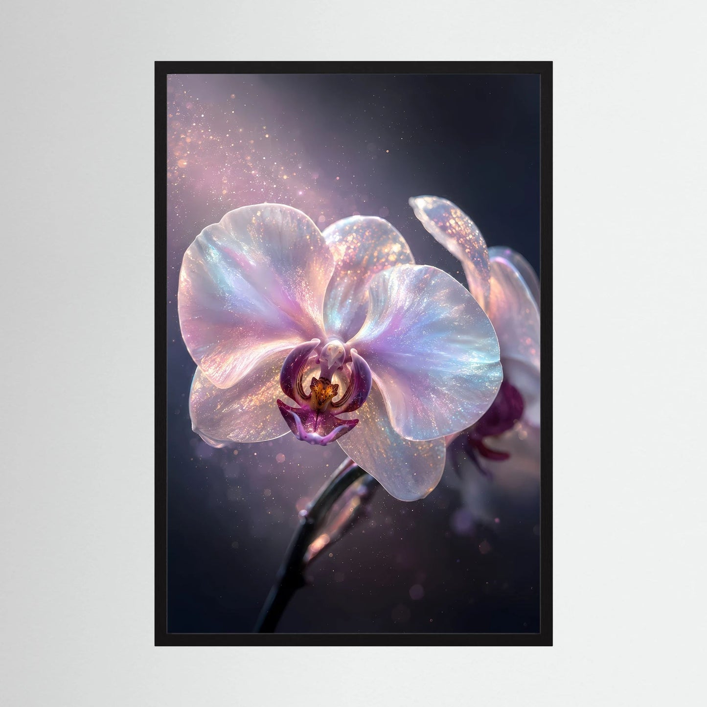 Orchideen-Poster im schwarzen Rahmen, pastellfarbene Blüte mit violettem Zentrum