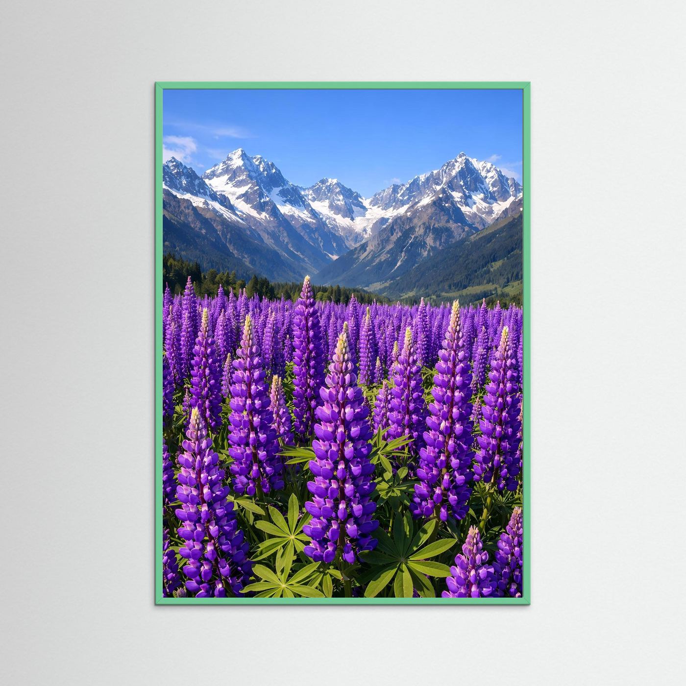 Poster Lupinenfeld vor Bergkulisse | Lila Blumenwiese Wandbild