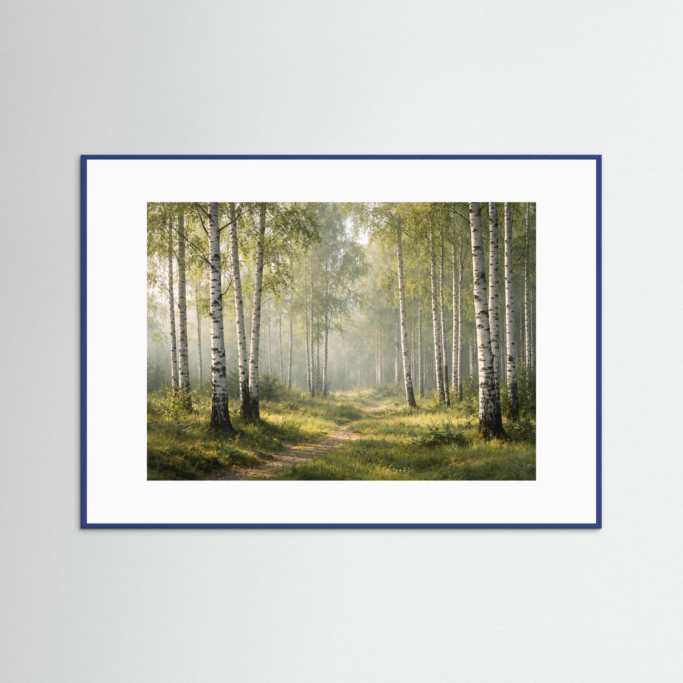 Lichtdurchfluteter Birkenhain im Morgenlicht | Panorama Wald & Natur Poster Querformat