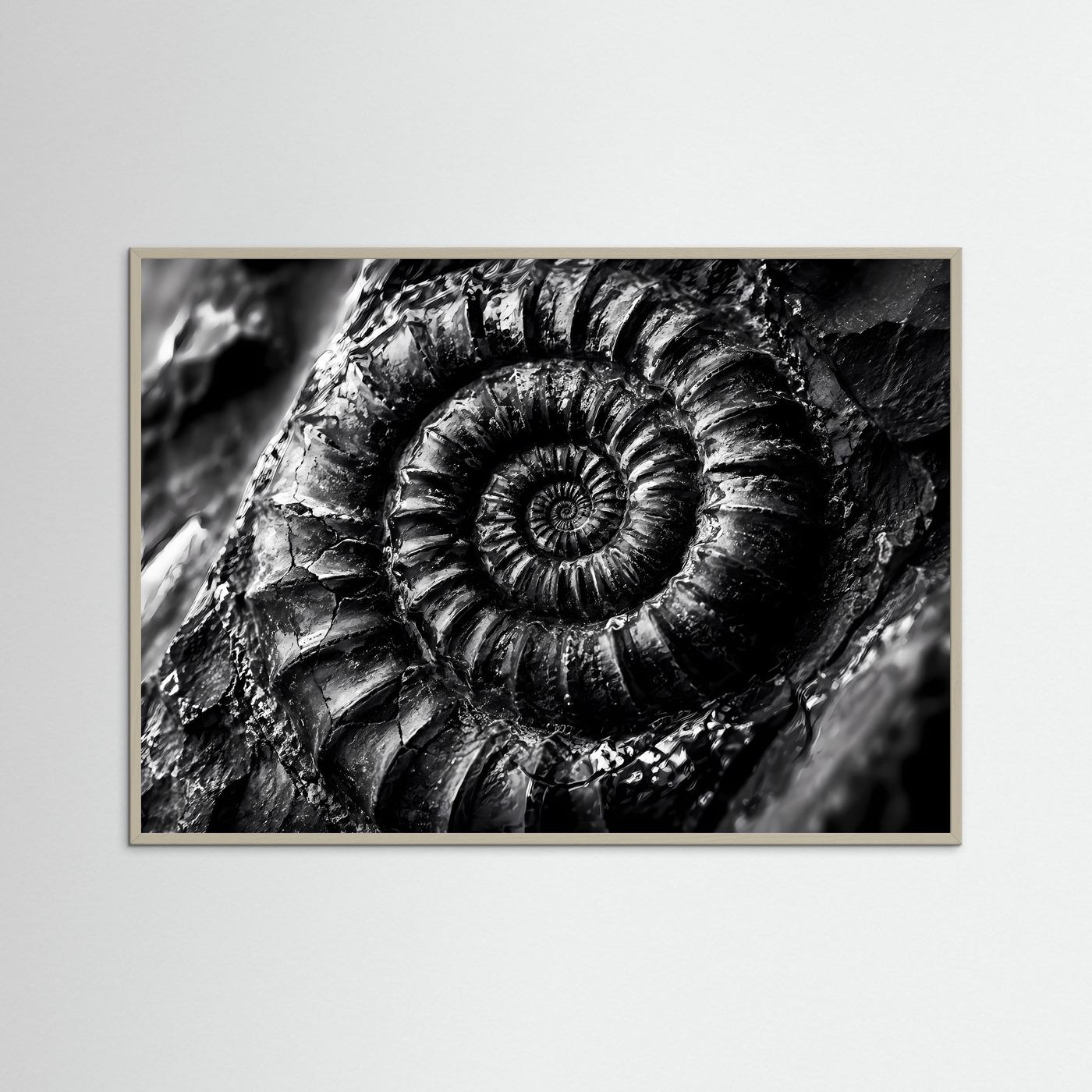 Ammonit Fossil Schwarz Weiß Poster | Makro Fossilien Wandkunst | Monochrome Naturkunst | Geologie Leinwand | Modernes Spiral Fossil Bild