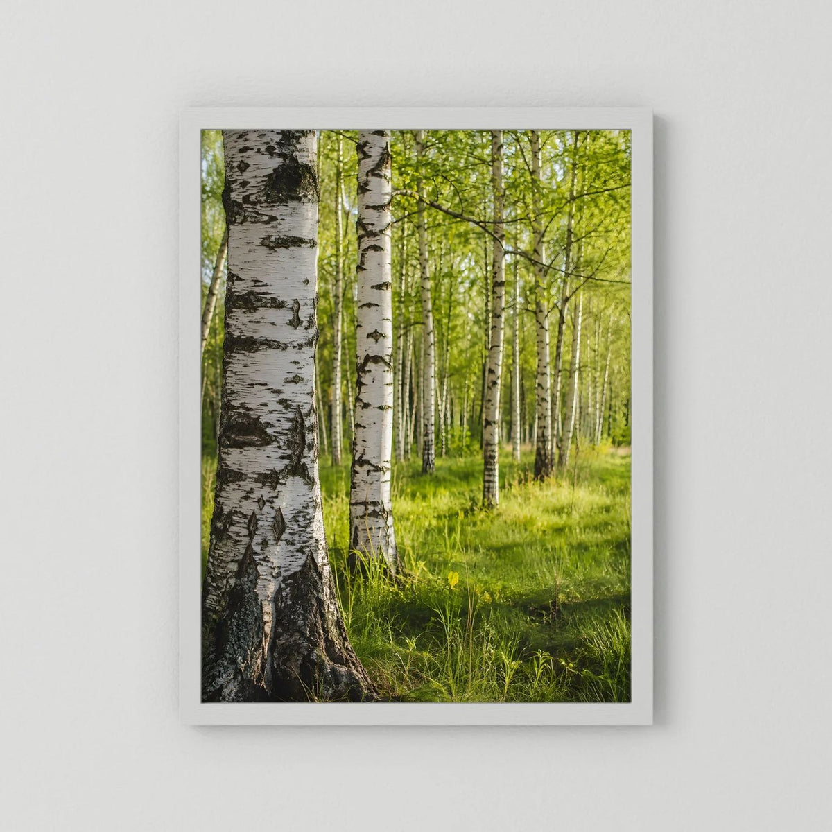 Poster im Hochformat: Birkenwald mit grüner Wiese, weißer Rahmen