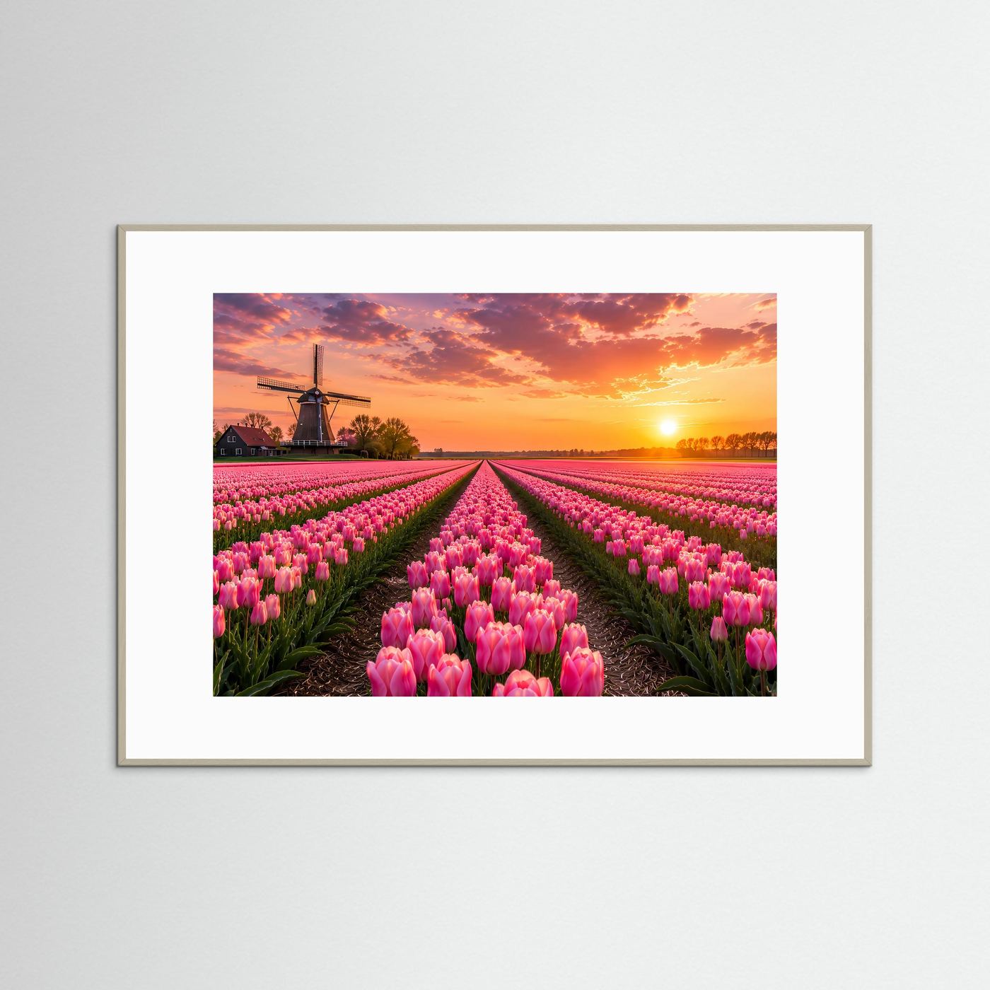 Tulpenfeld Poster Querformat | Rosa Tulpen mit Windmühle im Sonnenuntergang