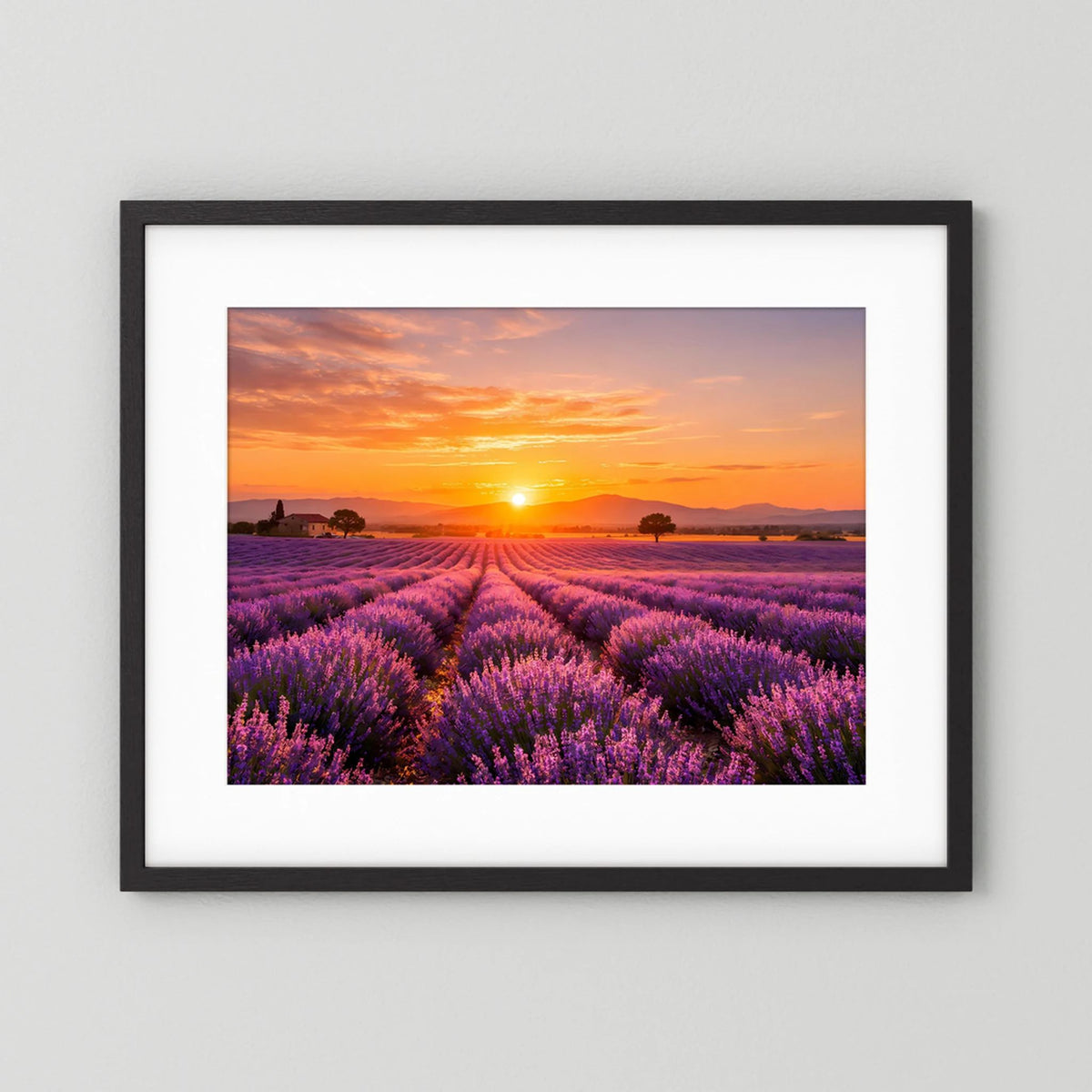 Lavendelfeld-Wandbild im Querformat mit Sonnenuntergang, schwarzer Rahmen mit weißem Rand