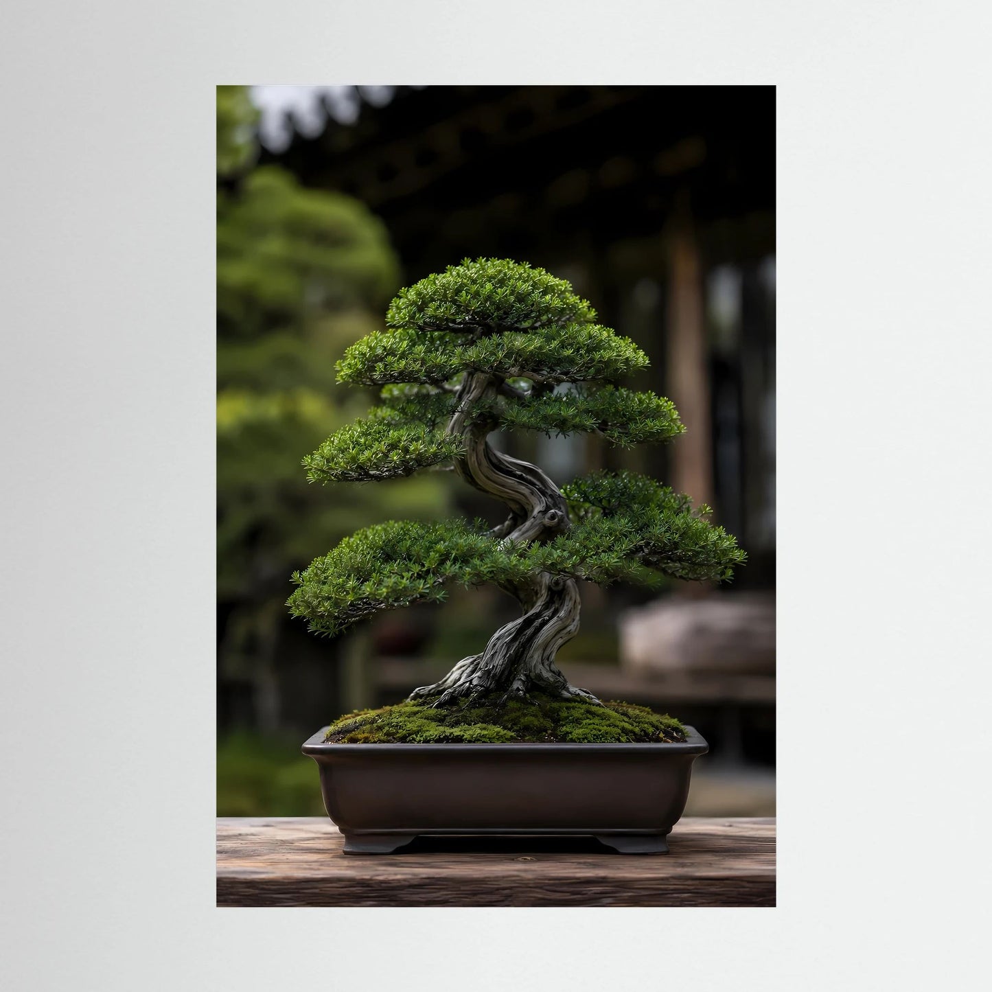 Nahansicht: Vertikales Bonsai-Poster mit grünem Baum in dunkler Schale, ohne Rahmen