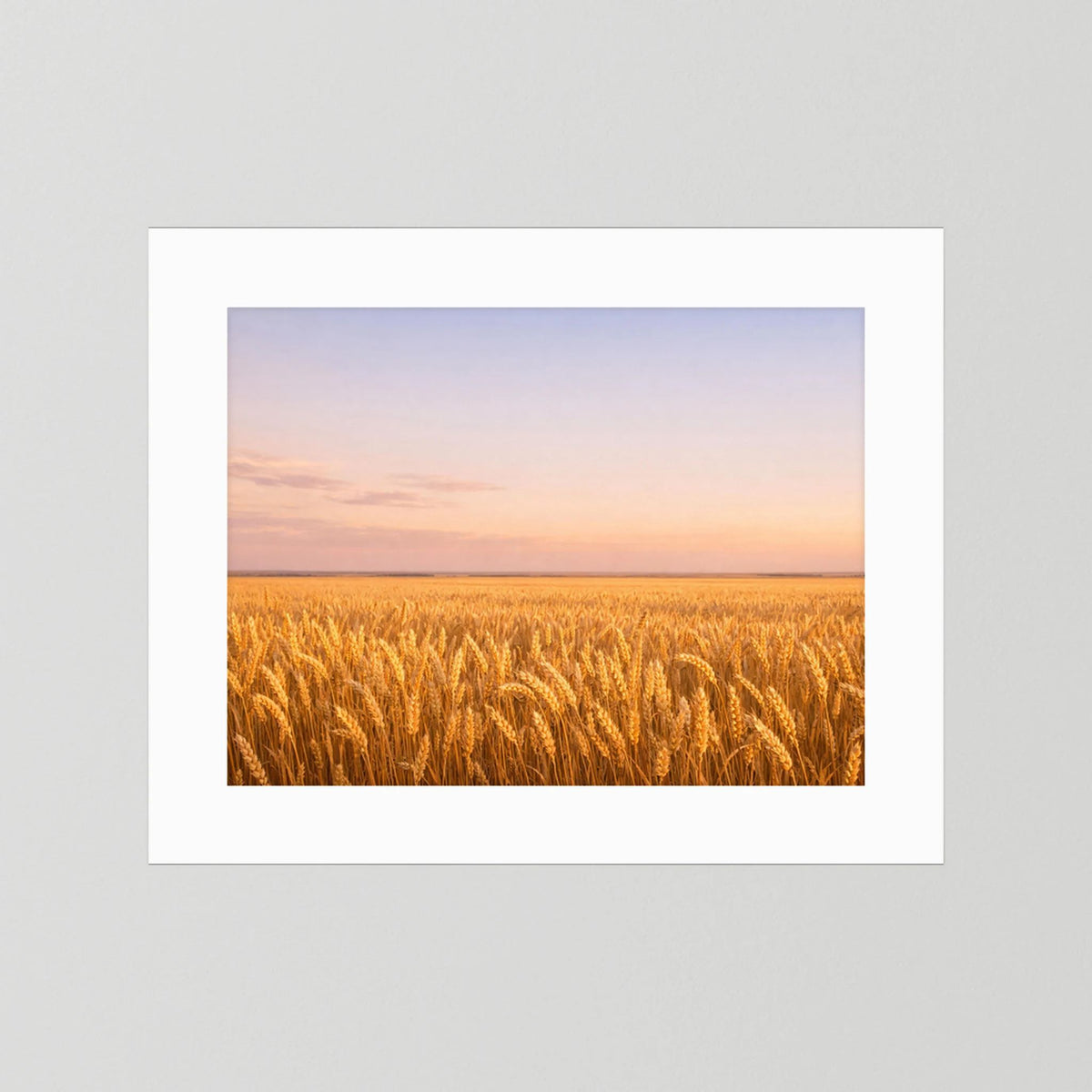 Querformatiges Poster mit goldenem Weizenfeld bei Sonnenuntergang mit weißem Passepartout