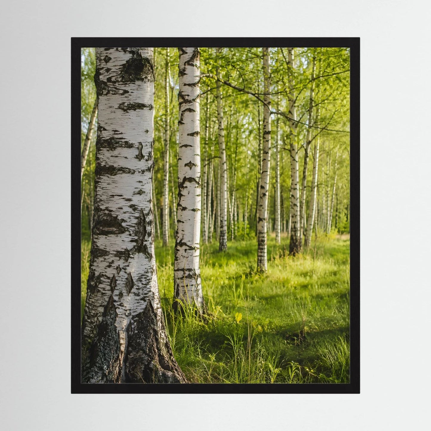 Hochformatiges Poster Birkenwald mit schwarz gerahmter Umrandung, grüne Lichtung