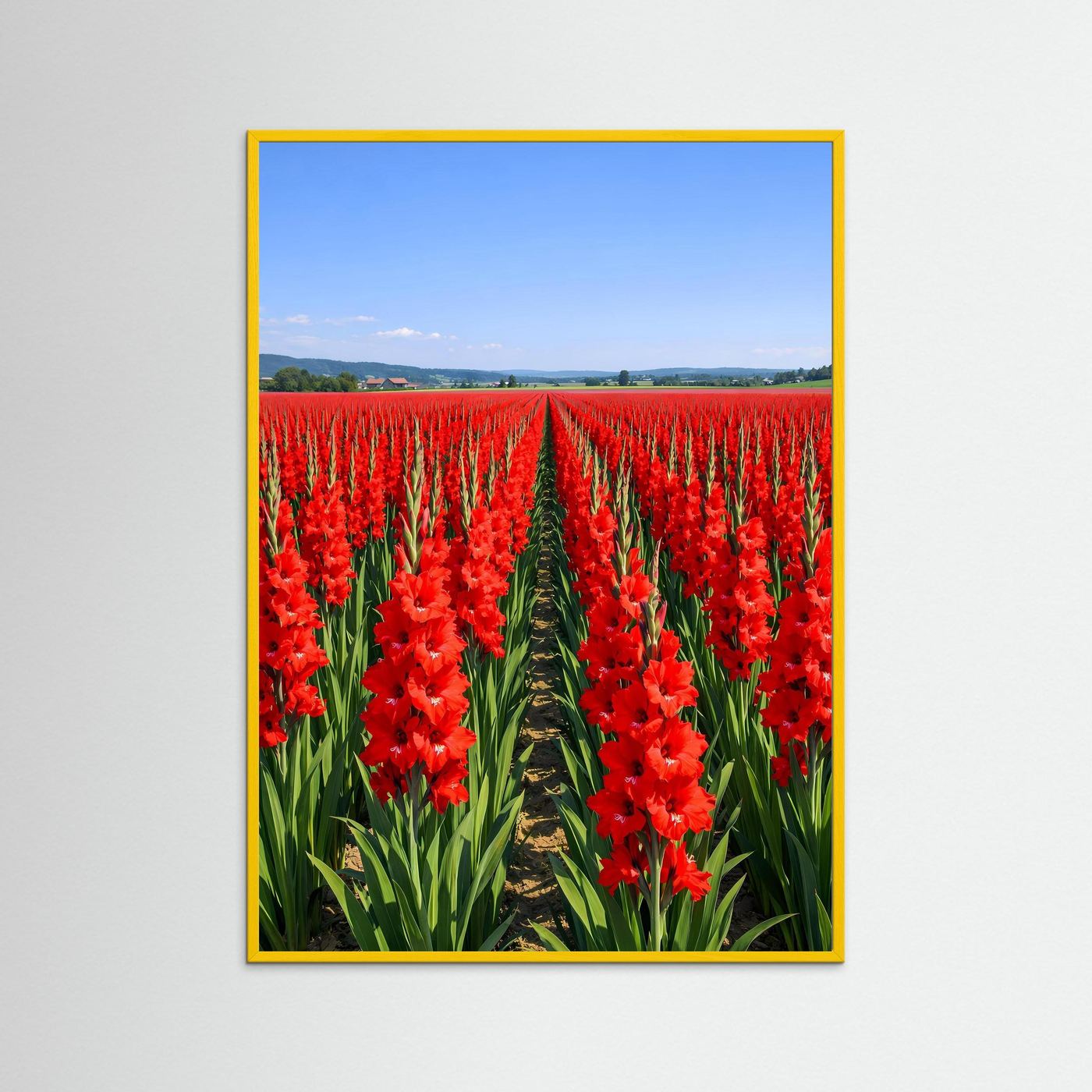 Poster mit rotem Gladiolenfeld im gelbfarbenen Holzrahmen