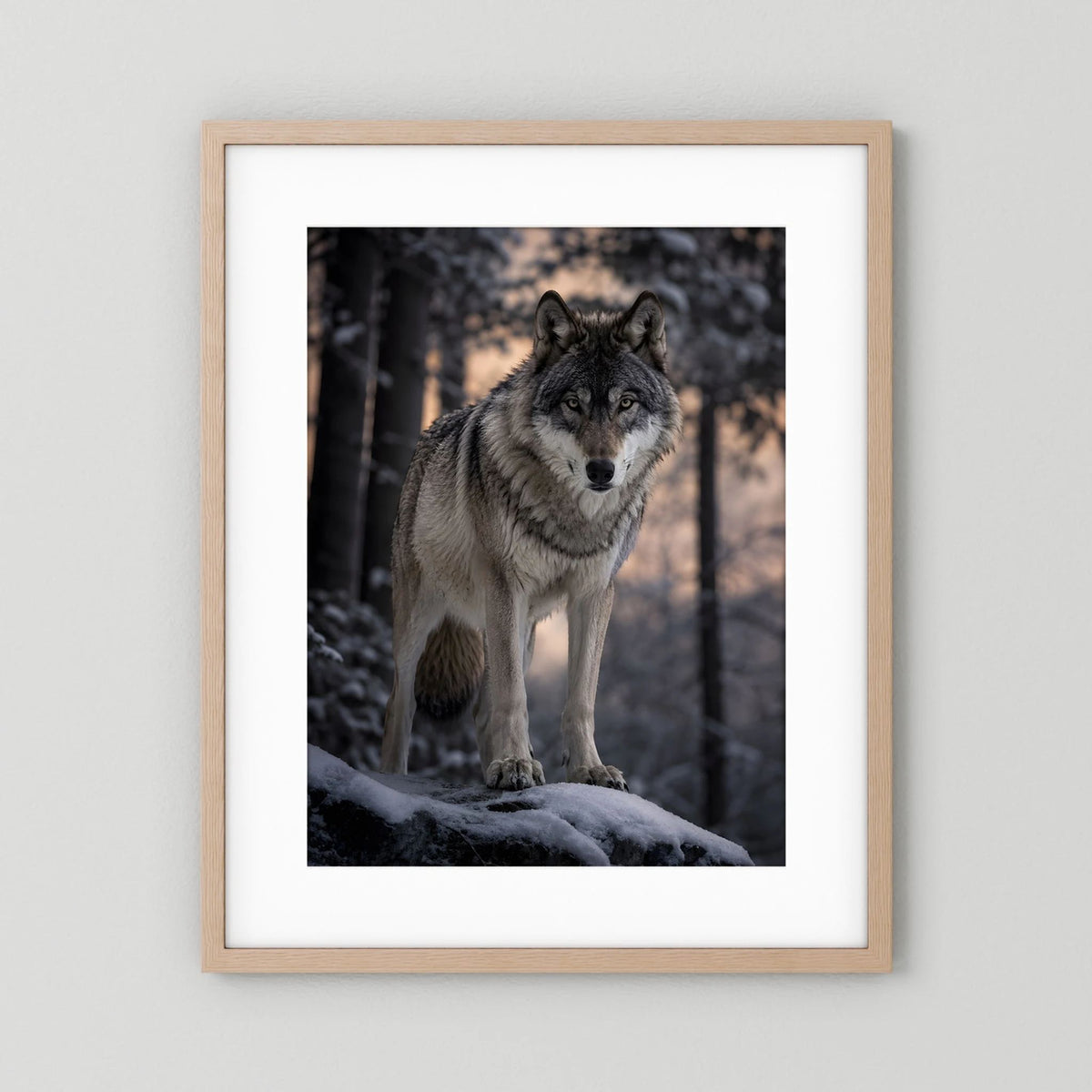 Wolf-Porträtposter im Hochformat, Grauwolf im Schnee, heller Holzrahmen mit weißem Rand