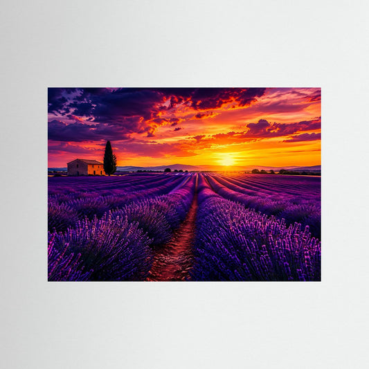 Querformat-Poster mit Lavendelfeld, violetten Reihen und orangefarbenem Sonnenuntergang am Horizont