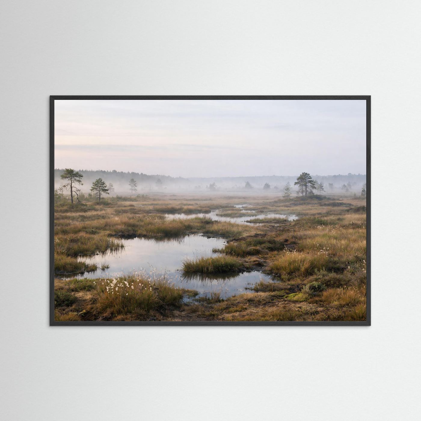 Querformat-Poster mit schwarzem Rahmen: Moorlandschaft im Morgennebel, Wasser und Sumpfgras
