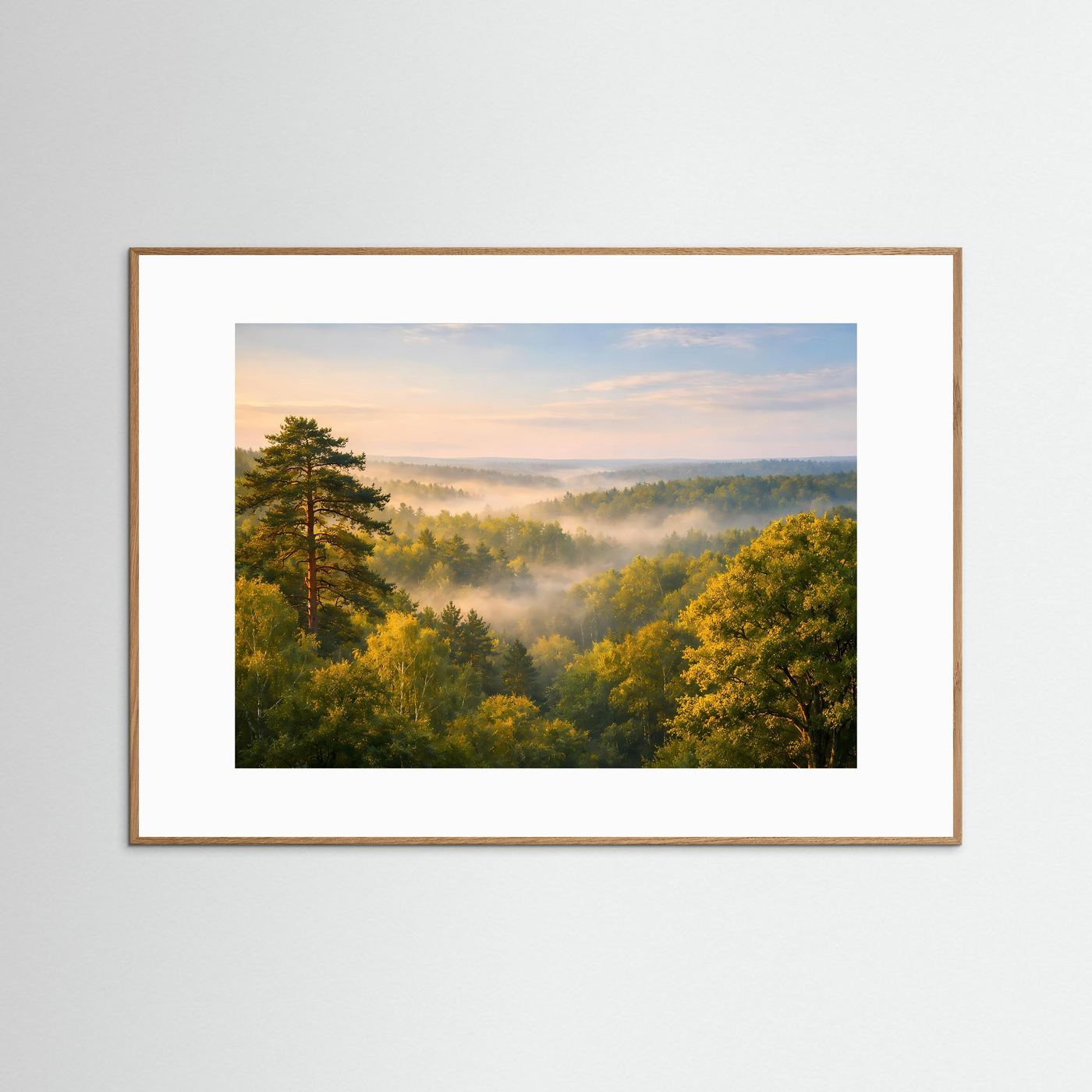 Morgenlicht über dem Nebelwald | Baumkronen & Natur Panorama Poster Querformat