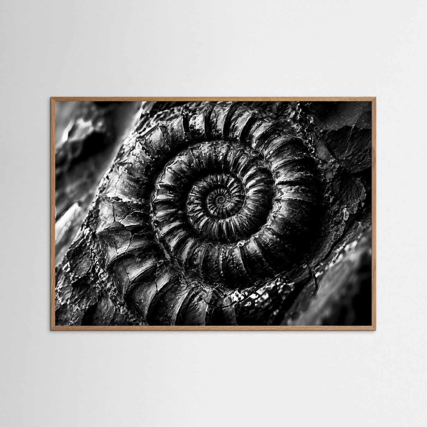 Ammonit Fossil Schwarz Weiß Poster | Makro Fossilien Wandkunst | Monochrome Naturkunst | Geologie Leinwand | Modernes Spiral Fossil Bild