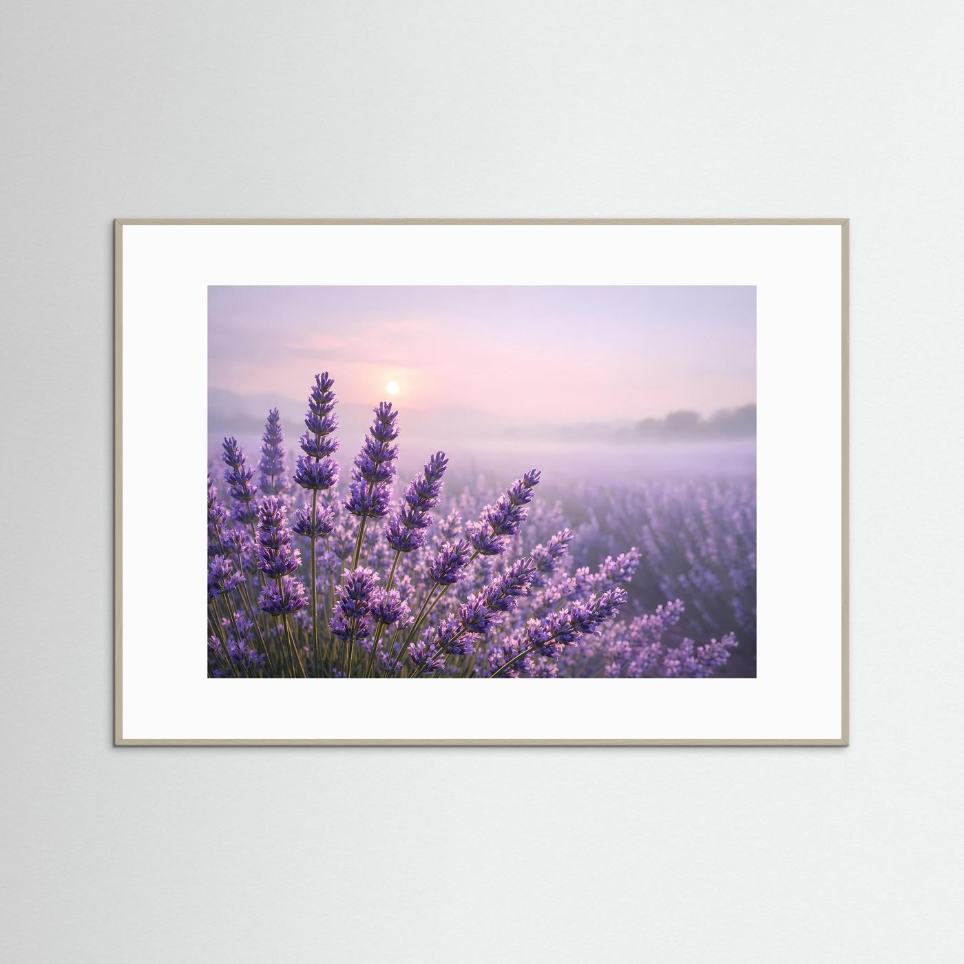 Sanfter Lavendelzauber im Morgenlicht | Panorama Blumenfeld & Natur Poster Querformat