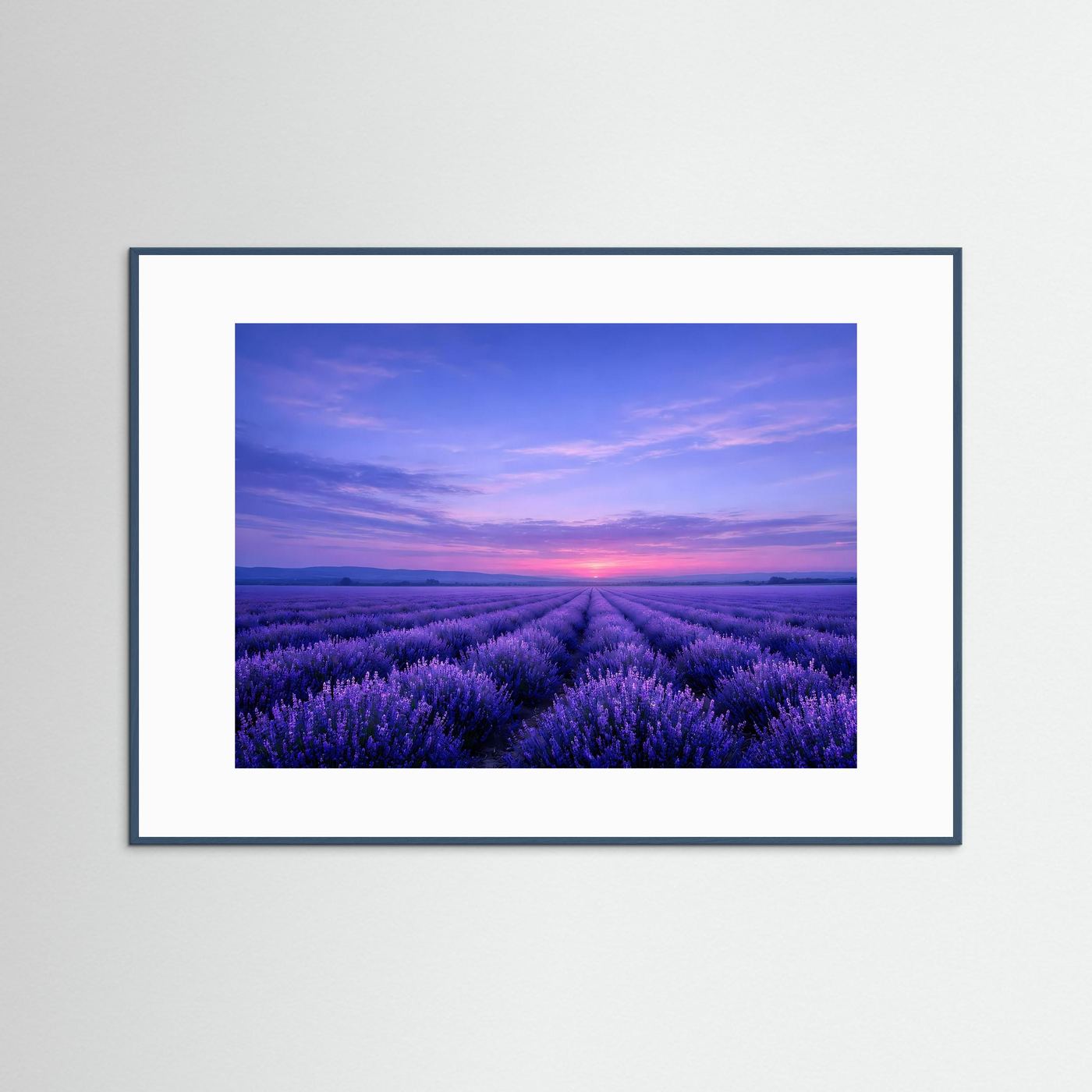 Poster Lavendelfeld im Sonnenuntergang | Majestätisches Violettes Wandbild