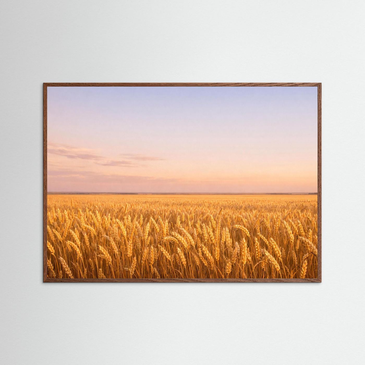 Wandbild mit goldenem Weizenfeld bei Sonnenuntergang im braunen Holzrahmen