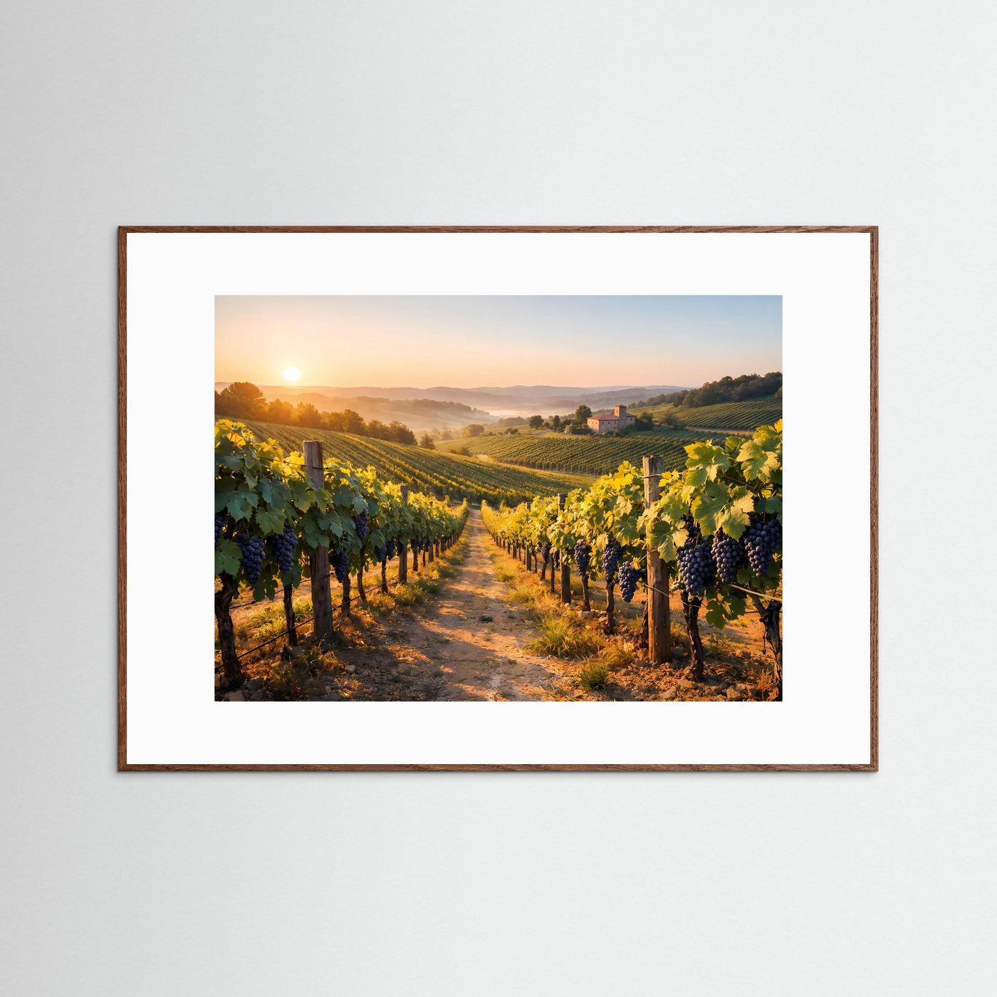 Gerahmtes Weinberg-Poster im Querformat mit Sonnenaufgang, Rebenreihen, dunkelbrauner Rahmen.
