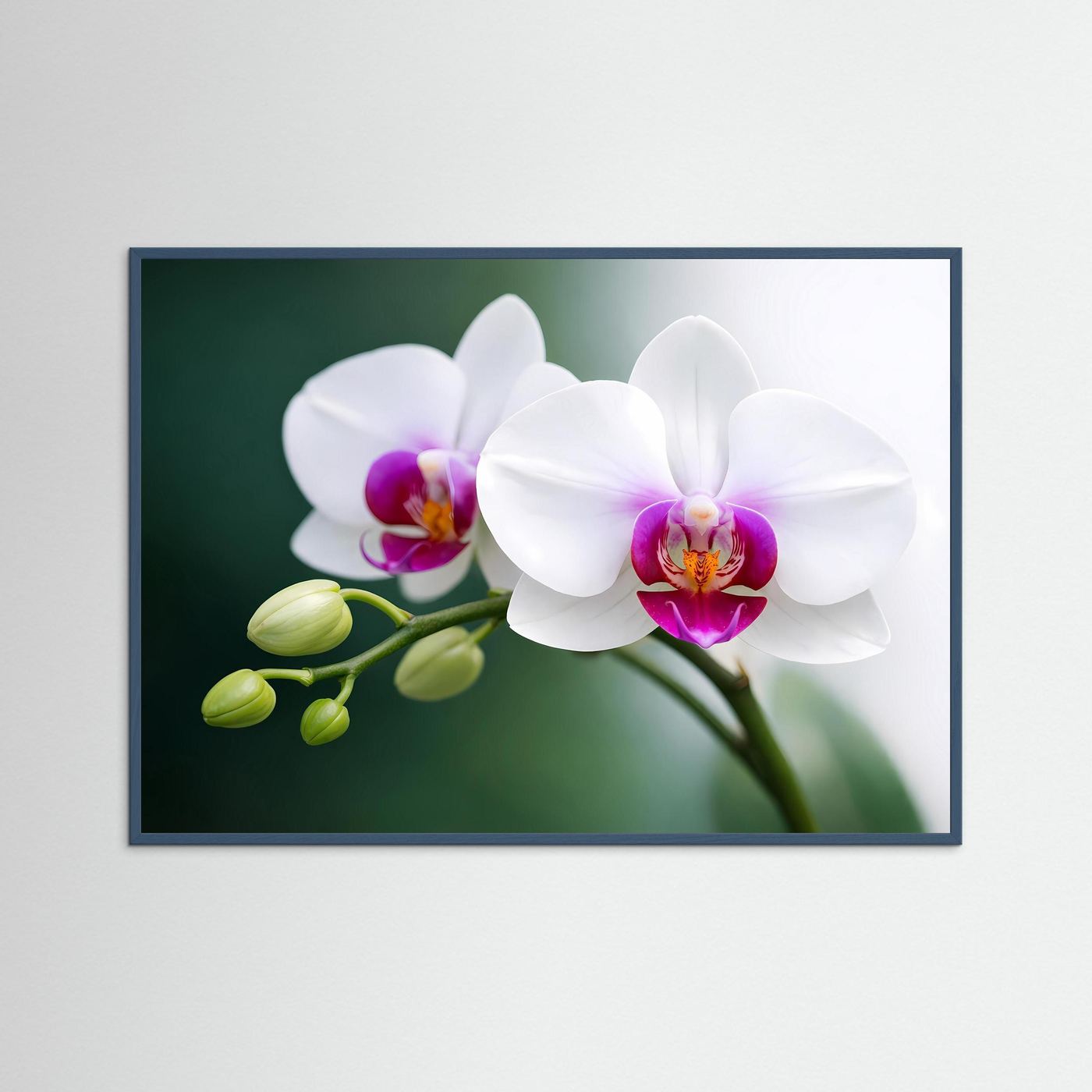 Poster mit weißen Orchideenblüten im grauen Holzrahmen