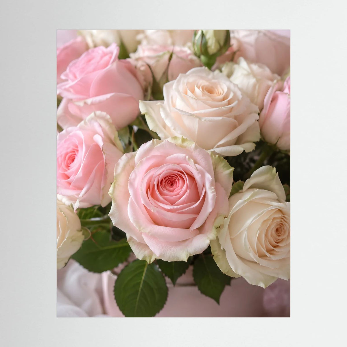 Poster mit pastellfarbenen rosa und weißen Rosenblüten im Detail