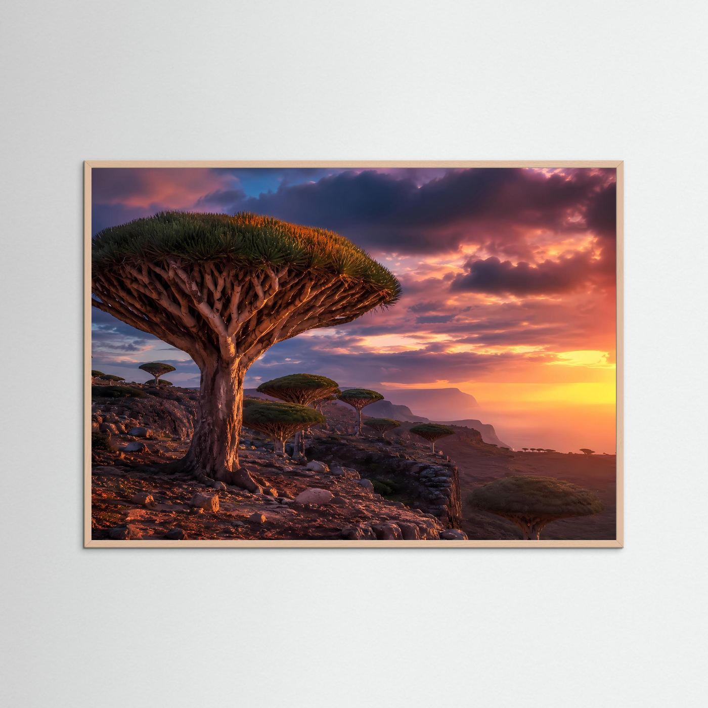 Magischer Drachenbaum-Sonnenuntergang | Sokotra & Exotische Natur Poster Querformat
