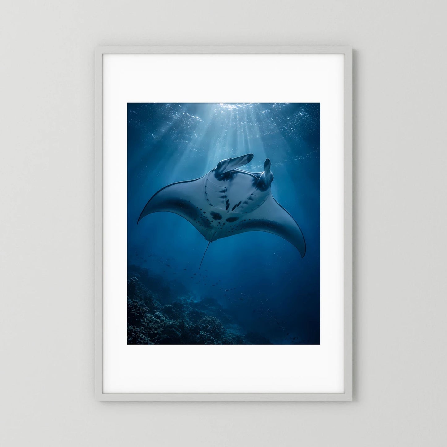 Hochformat-Poster mit Mantarochen im tiefblauen Meer, Lichtstrahlen, weißer Rahmen
