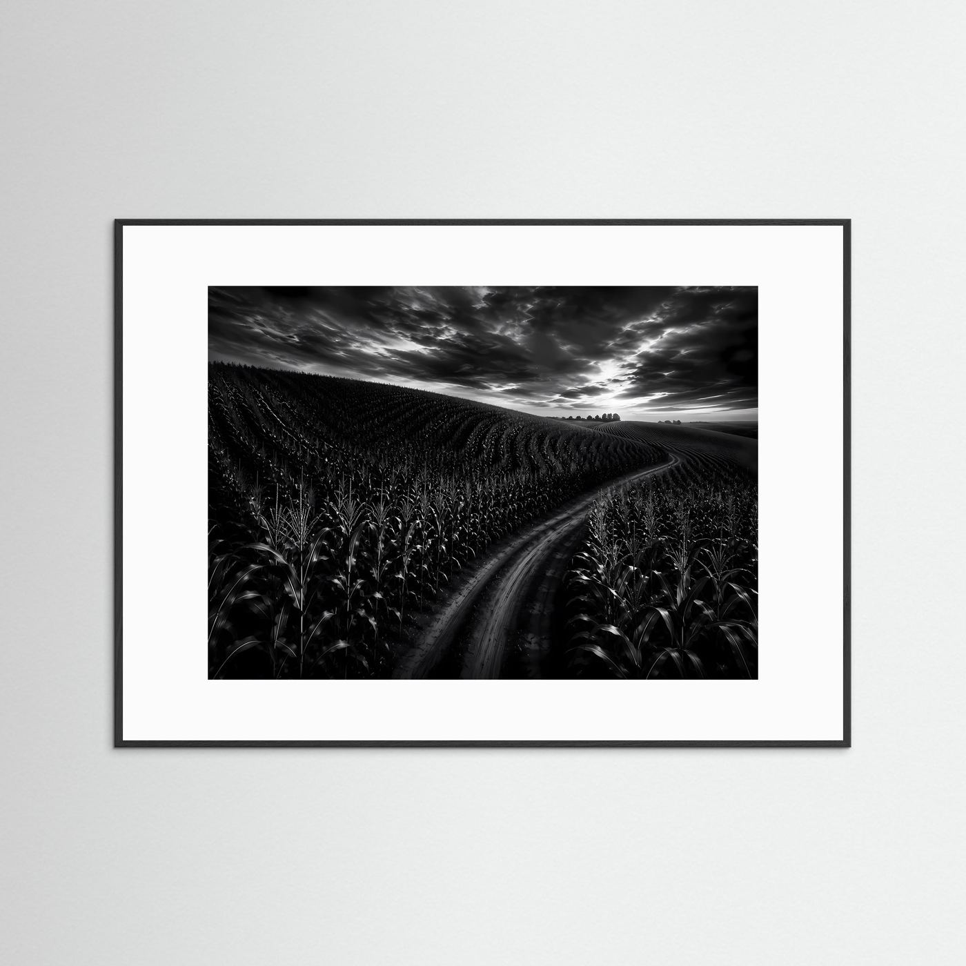 Schwarz Weiß Landschaft mit Feldweg | Dramatisches Natur Wandbild | Monochrome Landschaftsfotografie | Modernes Leinwandbild | Premium Poster