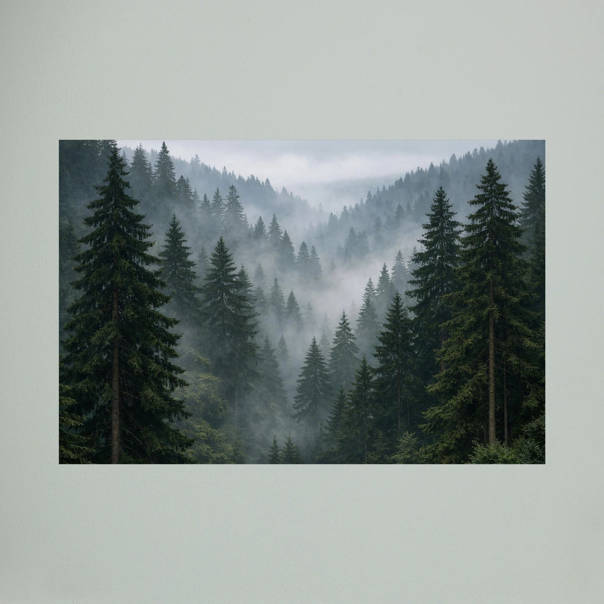 Querformatiges Wandbild mit Nadelwald und Nebel, dunkle Tannen in kühlem Grau