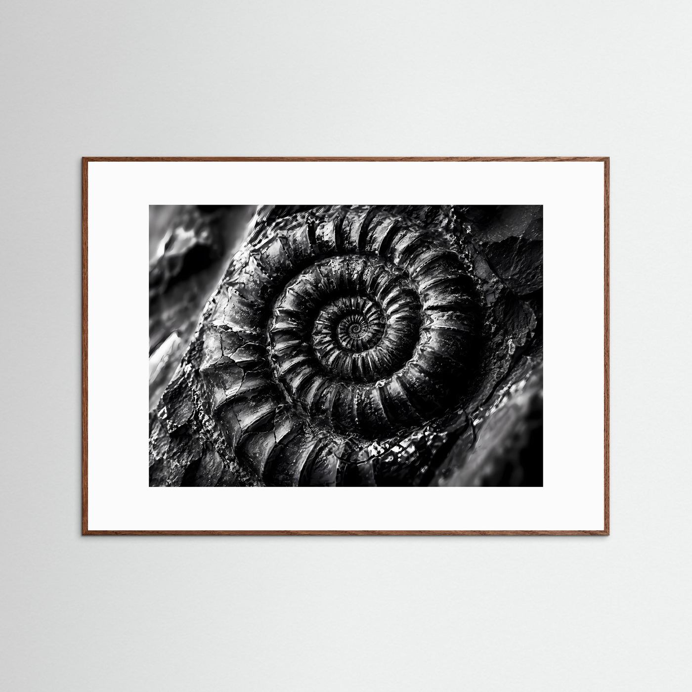 Ammonit Fossil Schwarz Weiß Poster | Makro Fossilien Wandkunst | Monochrome Naturkunst | Geologie Leinwand | Modernes Spiral Fossil Bild