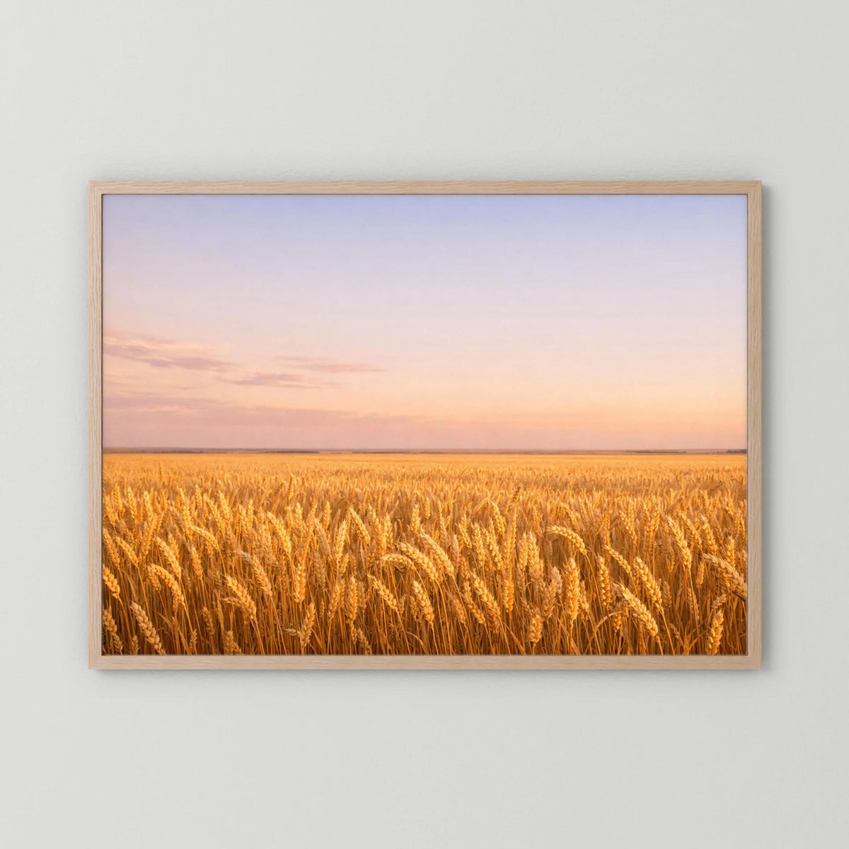 Querformatiges Wandbild mit goldenem Weizenfeld bei Sonnenuntergang im hellen Holzrahmen