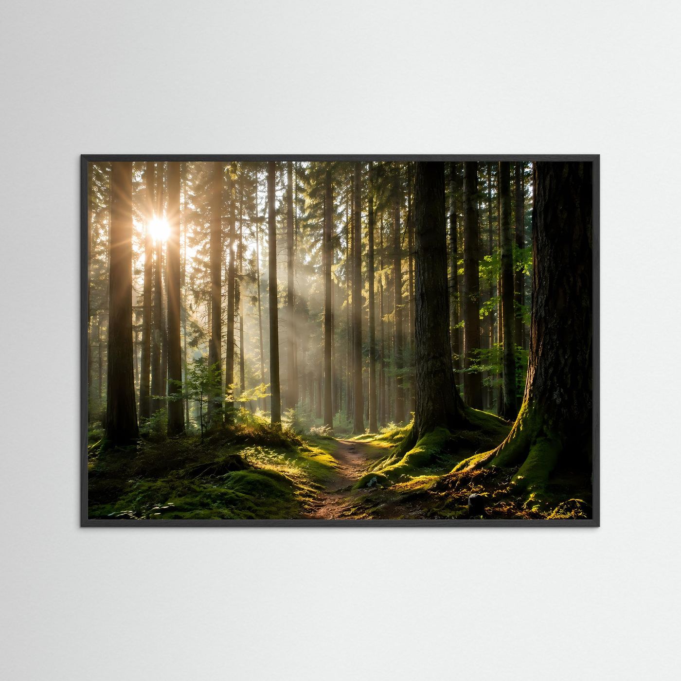 Sonnenstrahlen im Wald | Mystische Waldlandschaft Wandkunst